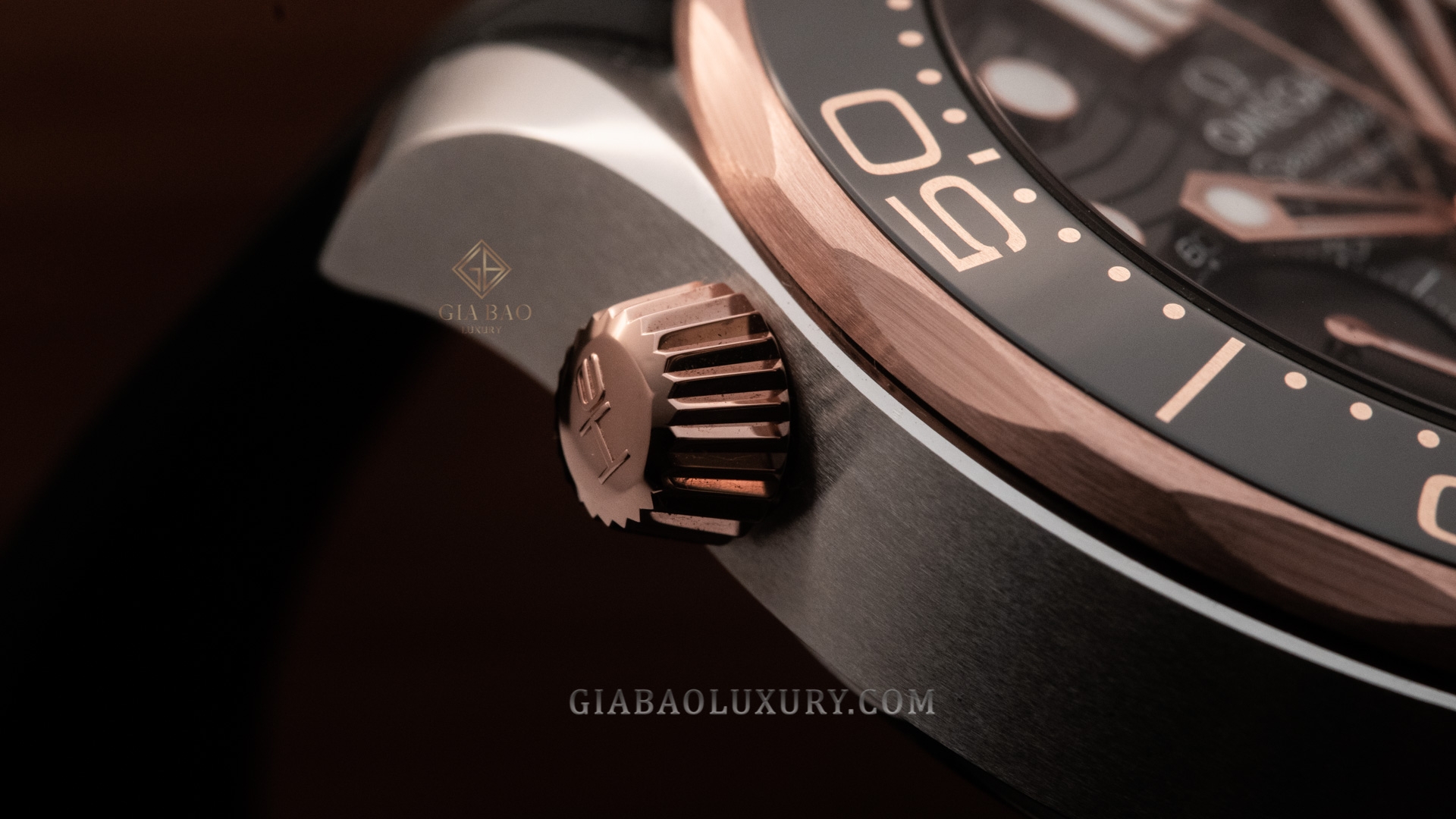 Đồng Hồ Omega Seamaster DIVER 300M 210.22.44.51.01.001