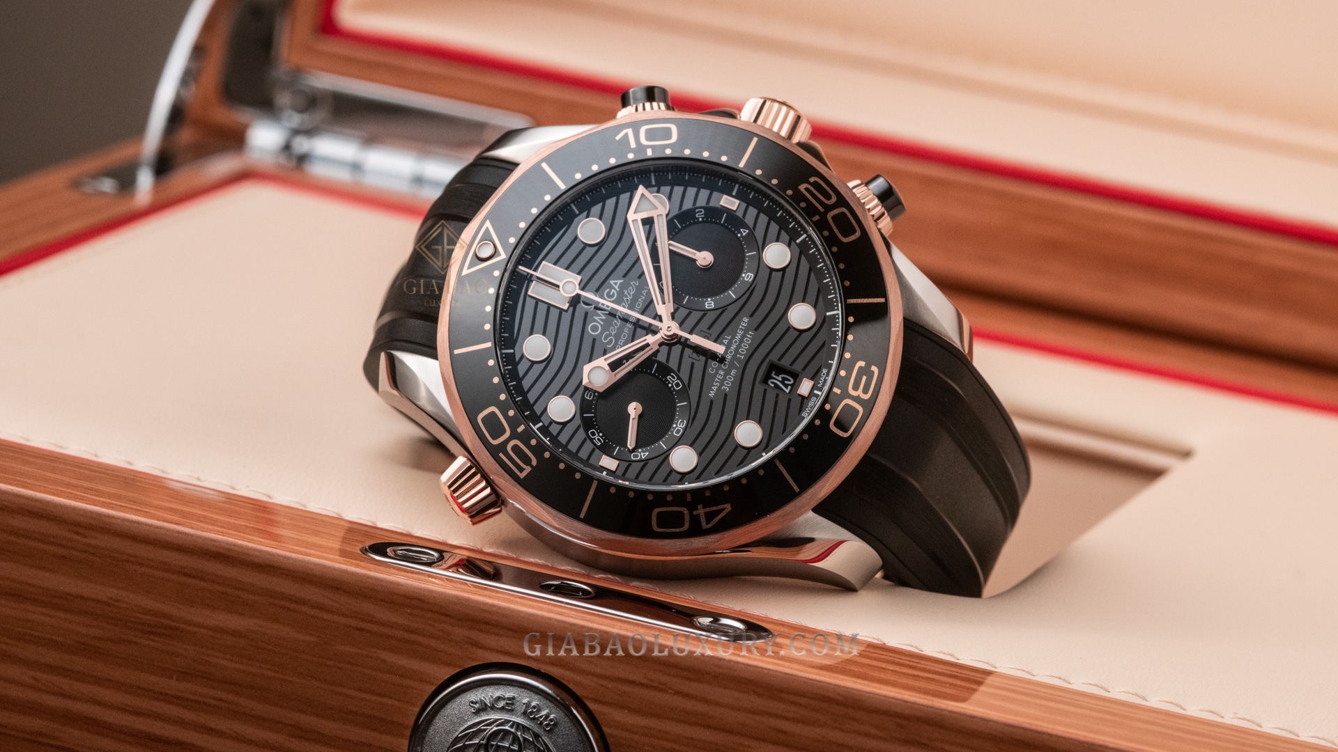 Đồng Hồ Omega Seamaster DIVER 300M 210.22.44.51.01.001