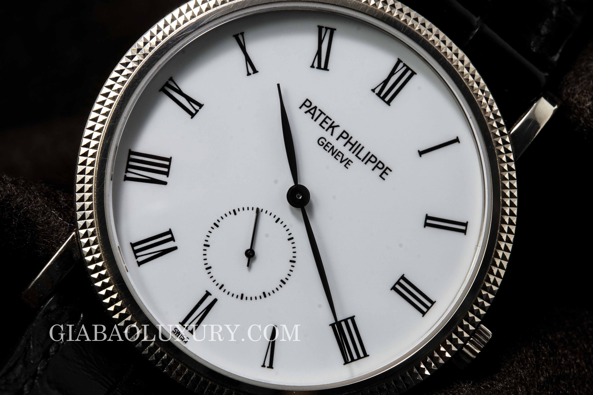 đồng hồ patek philippe calatrava