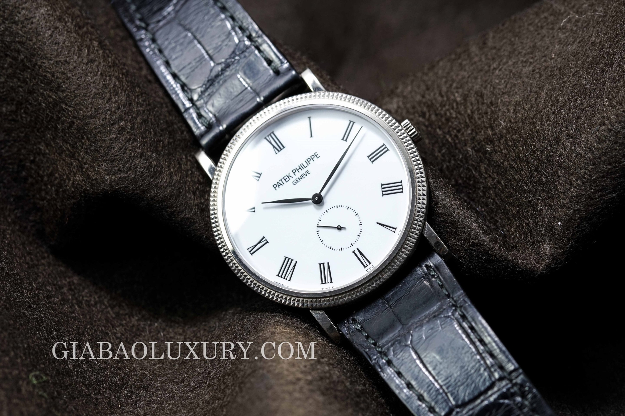 đồng hồ patek philippe calatrava
