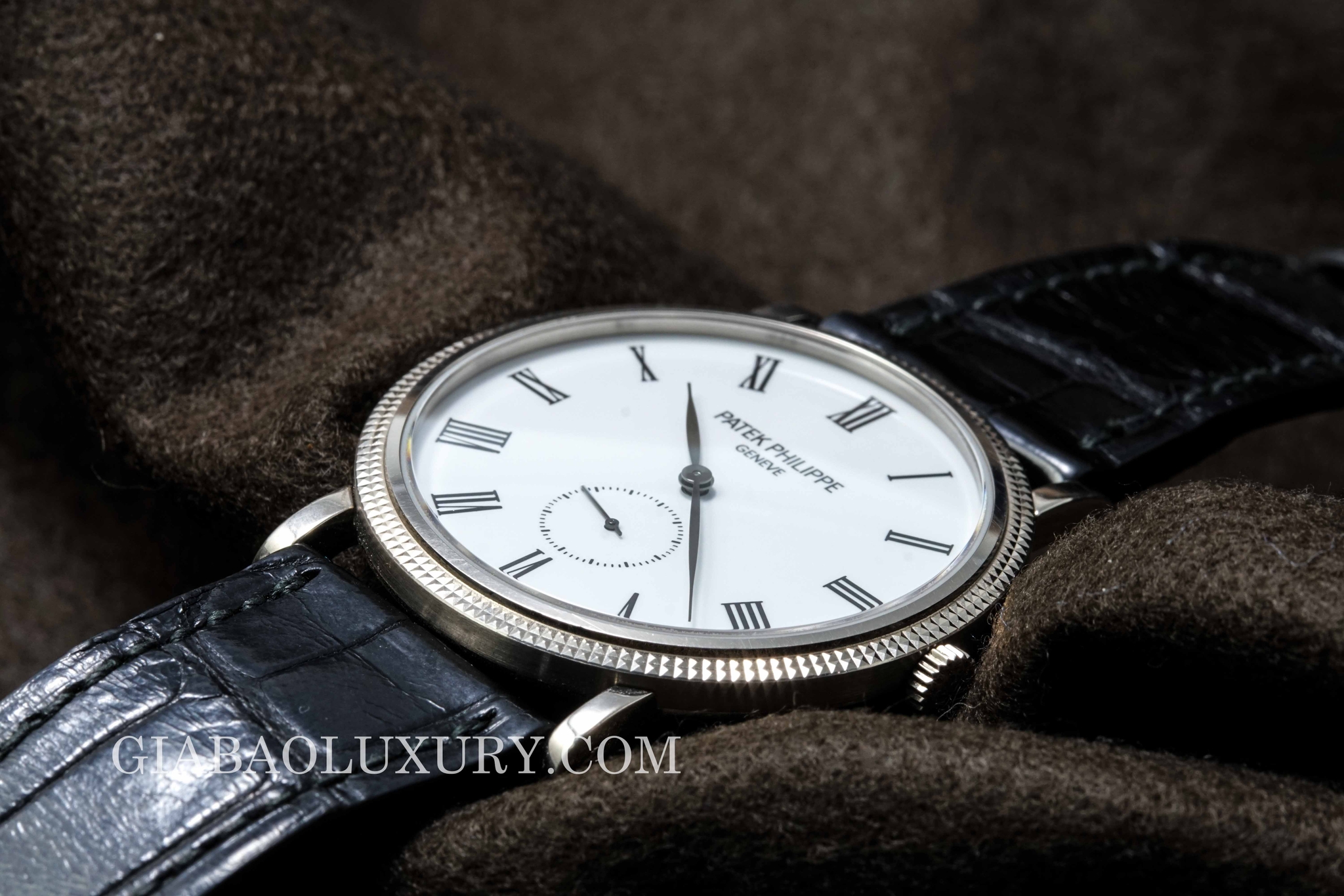 đồng hồ patek philippe calatrava