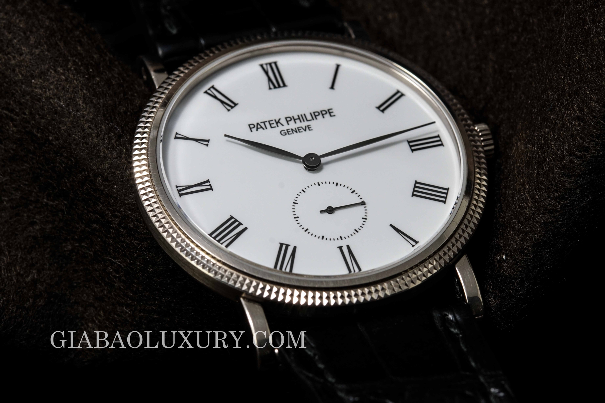 đồng hồ patek philippe calatrava