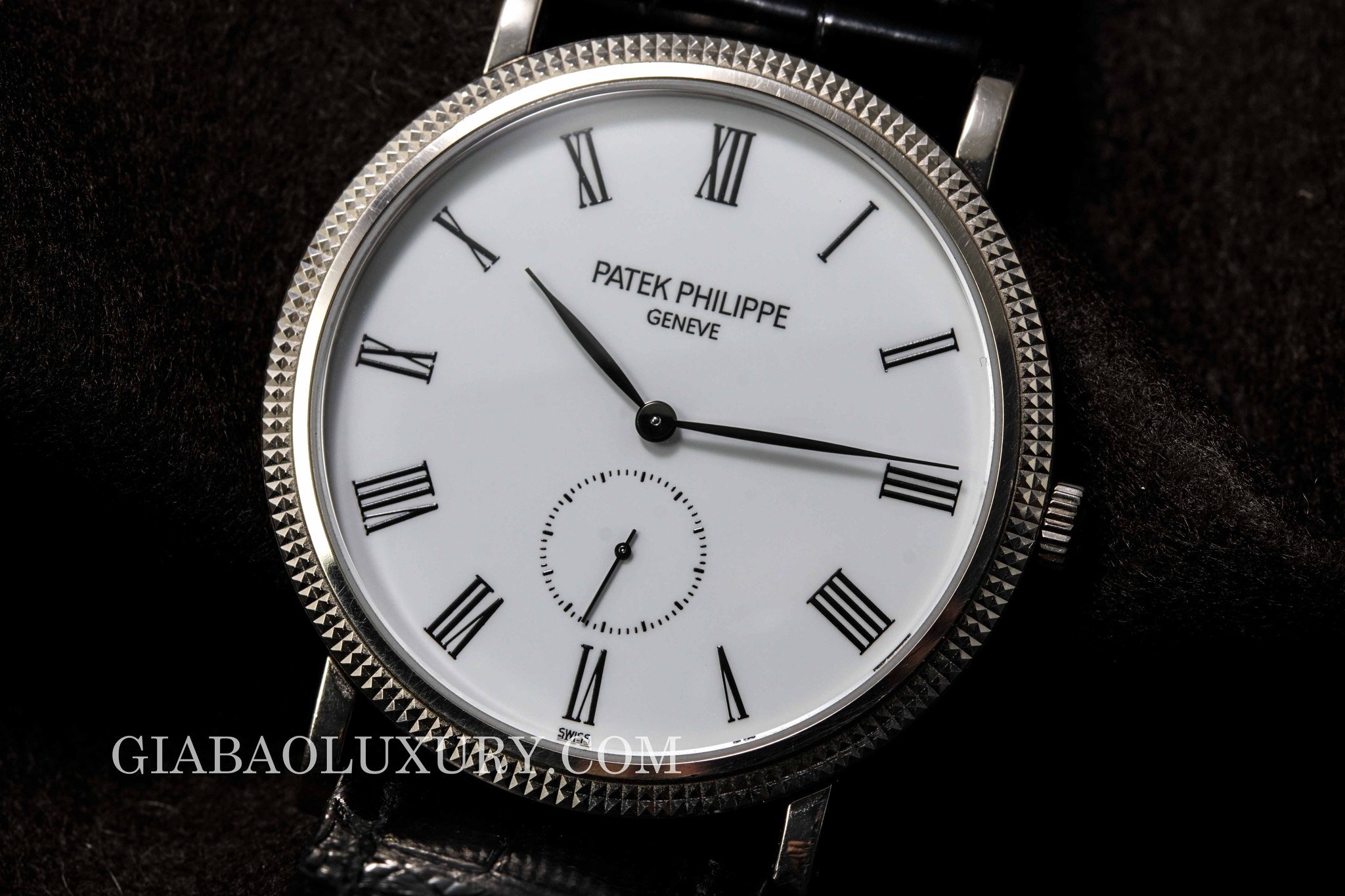 đồng hồ patek philippe calatrava