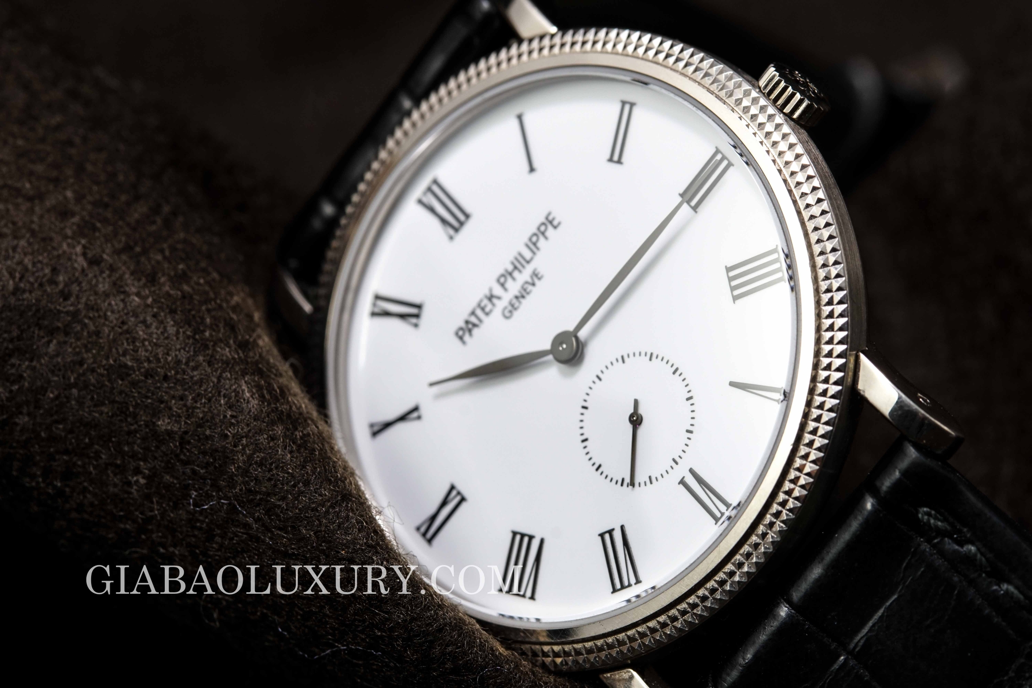 đồng hồ patek philippe calatrava