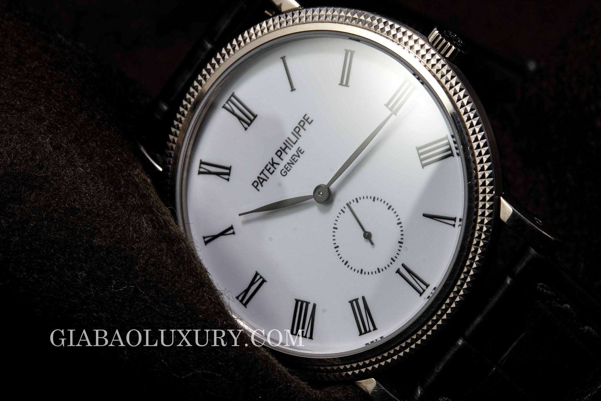 đồng hồ patek philippe calatrava