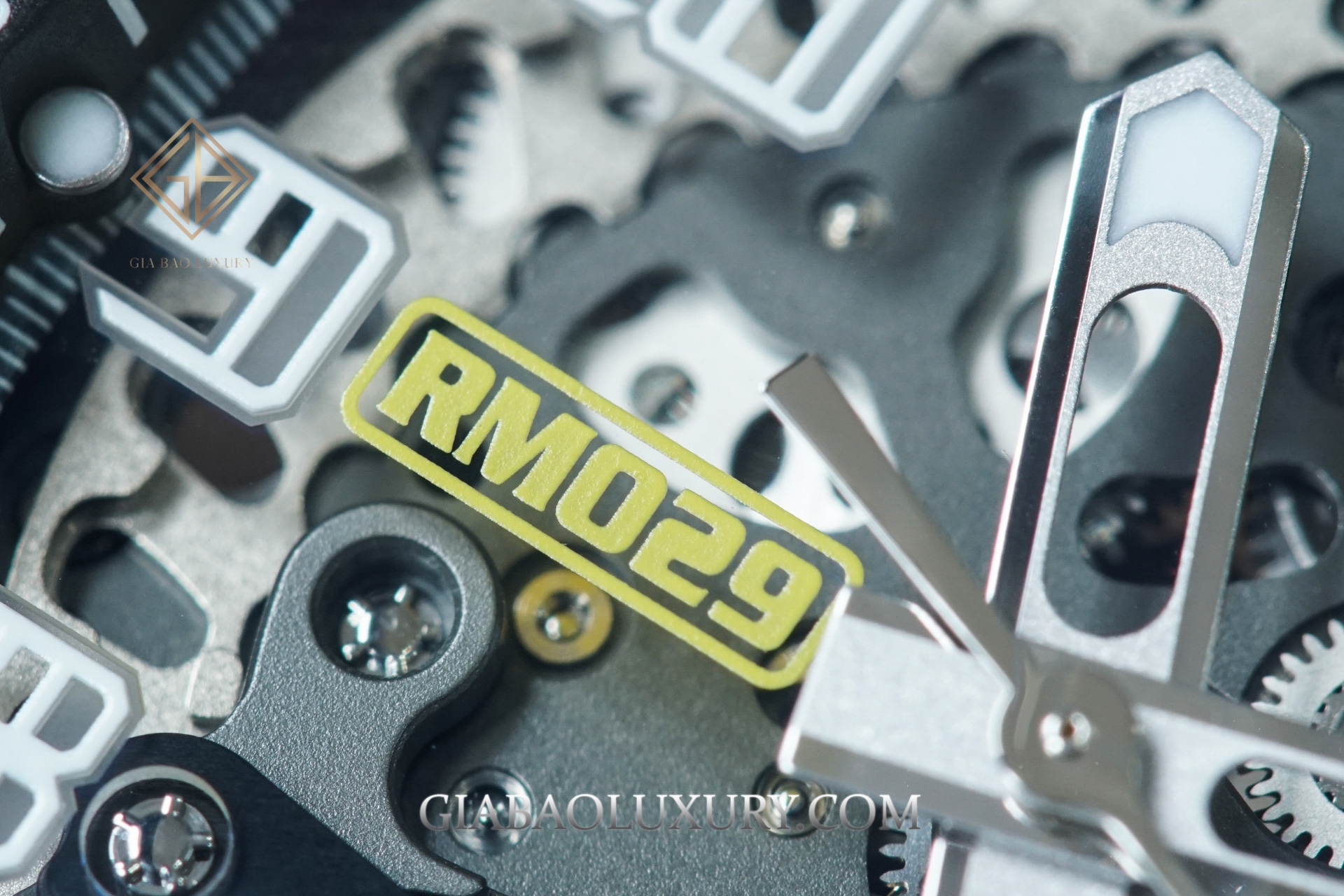 Review Đồng hồ Richard Mille RM029 RG-D