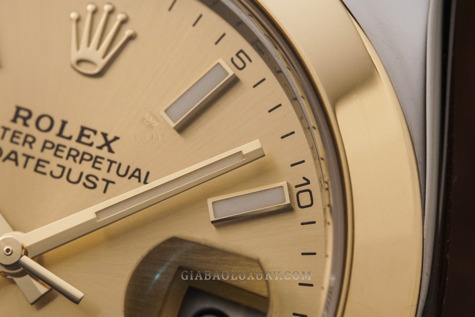 Đồng Hồ Rolex Datejust 41 126303 Mặt Số Vàng Champagne Cọc Số Dạ Quang