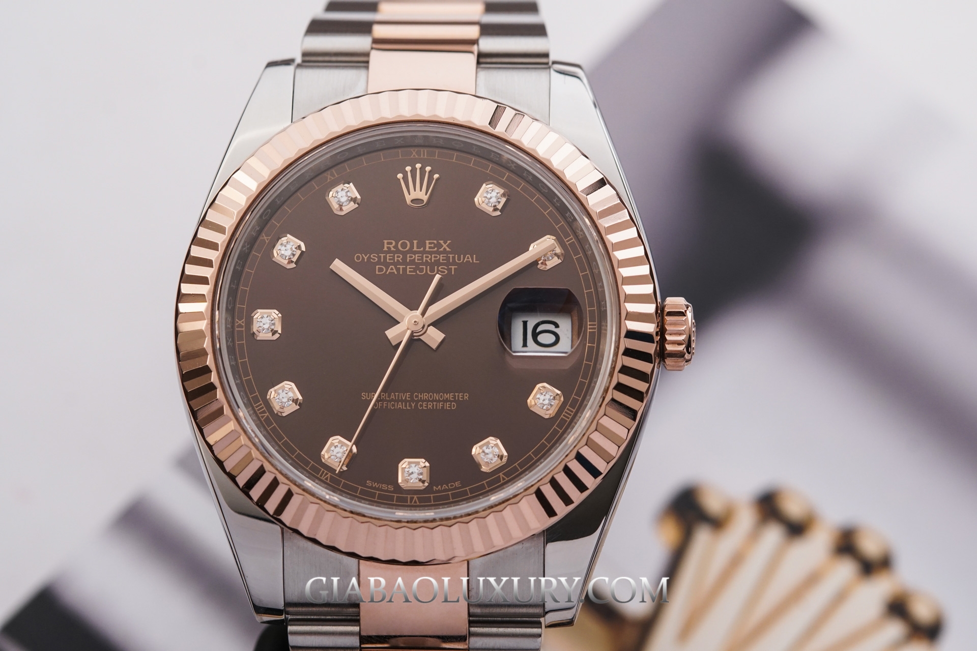 Đồng Hồ Rolex Datejust 41 126331 Mặt Số Chocolate Nạm Kim Cương Dây Đeo Oyster