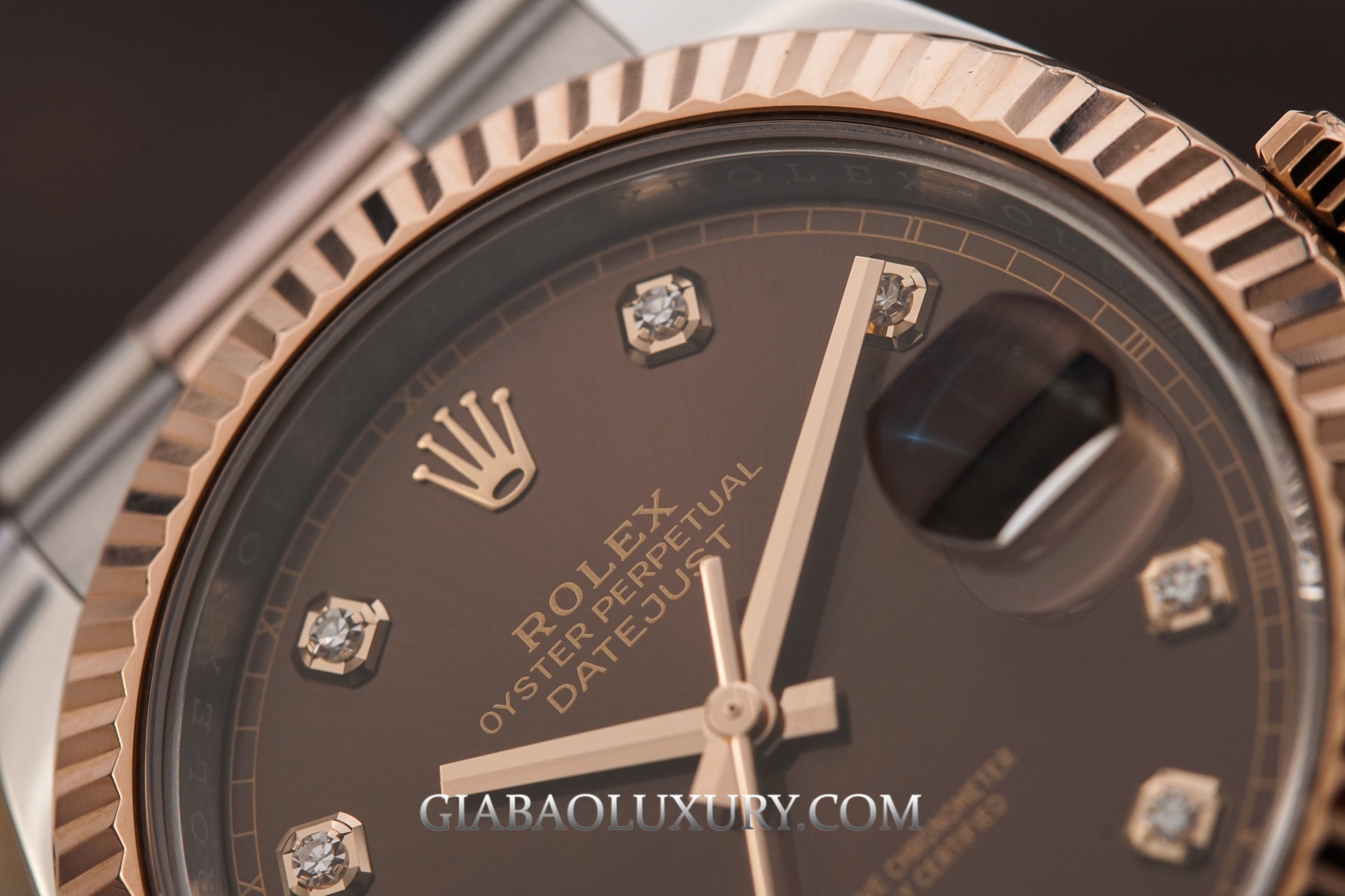 Đồng Hồ Rolex Datejust 41 126331 Mặt Số Chocolate Nạm Kim Cương Dây Đeo Oyster