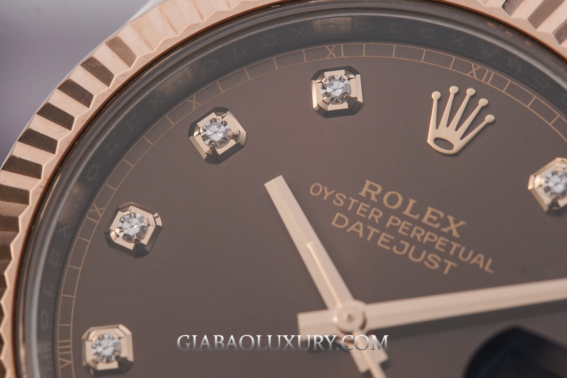 Đồng Hồ Rolex Datejust 41 126331 Mặt Số Chocolate Nạm Kim Cương Dây Đeo Oyster