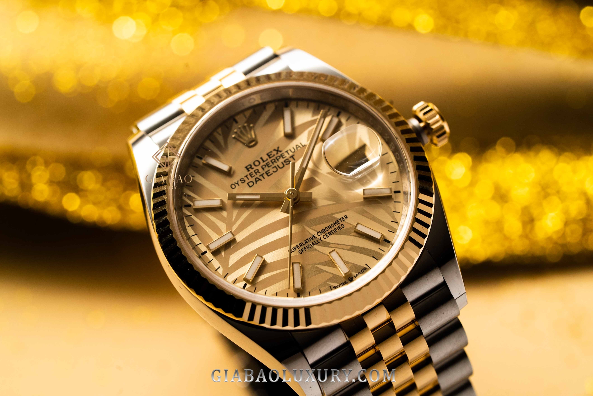 Đồng Hồ Rolex Datejust 36 126233 Mặt Số Cây Lá Nhiệt Đới Vàng Champagne Cọc Số Dạ Quang