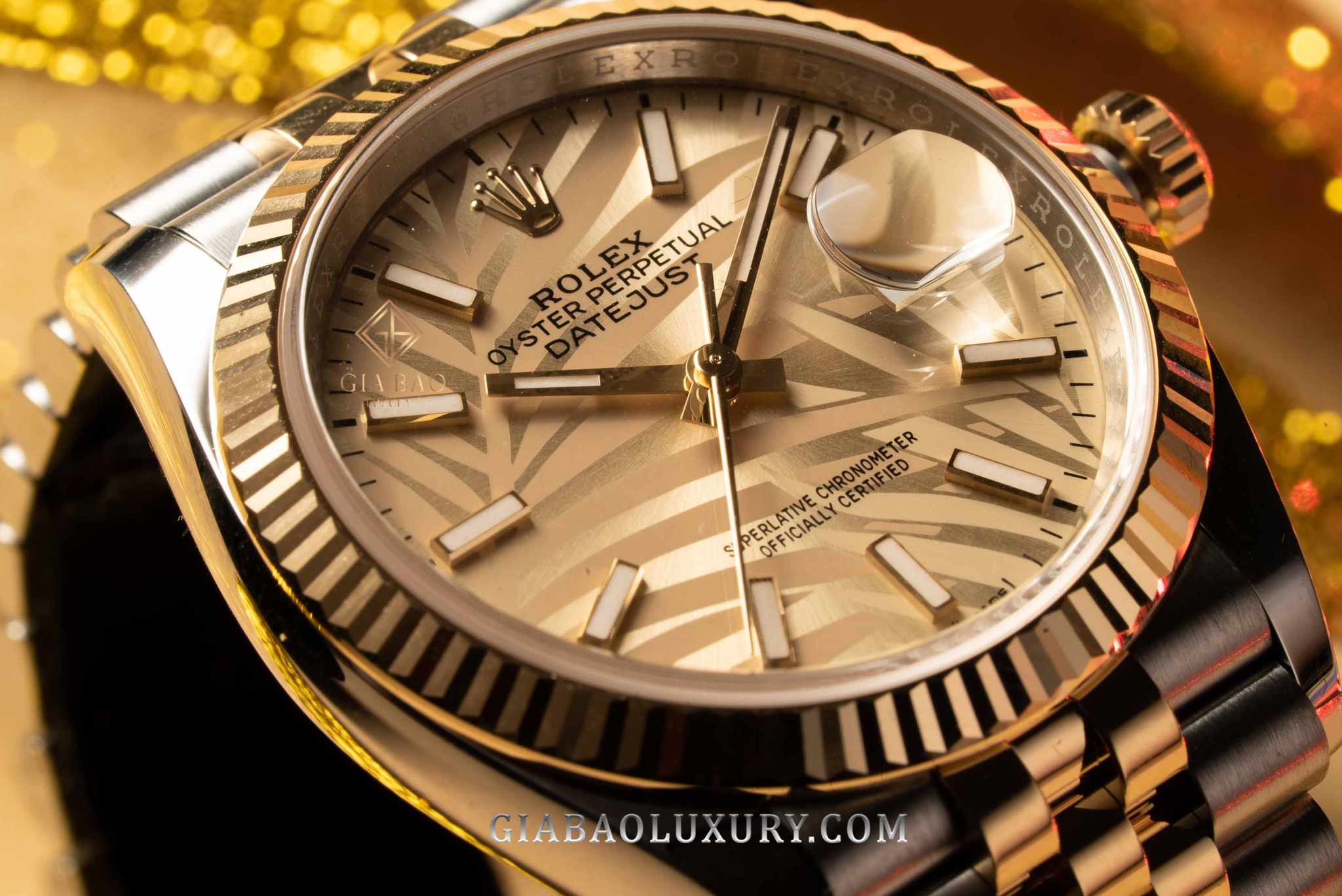 Đồng Hồ Rolex Datejust 36 126233 Mặt Số Cây Lá Nhiệt Đới Vàng Champagne Cọc Số Dạ Quang