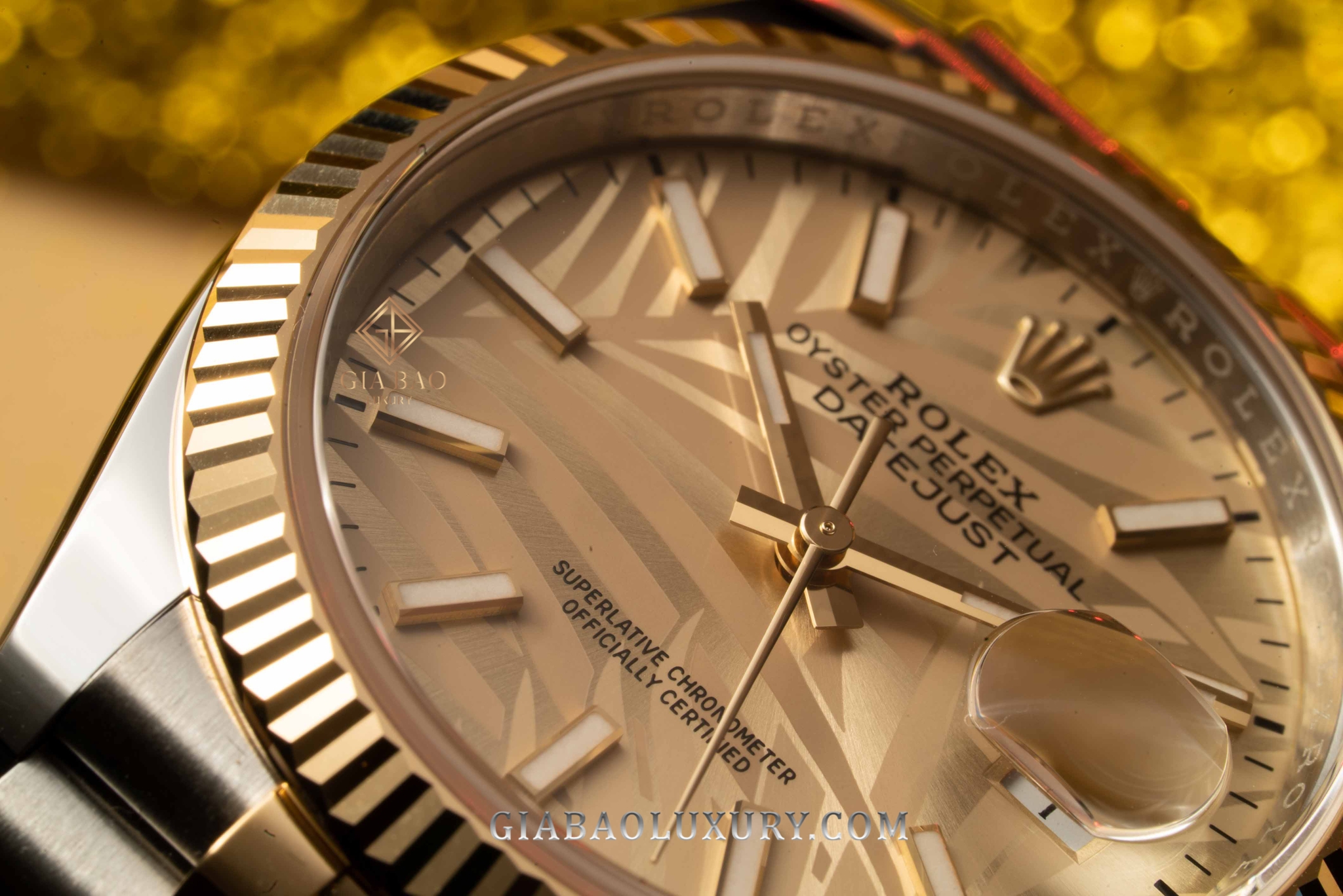 Đồng Hồ Rolex Datejust 36 126233 Mặt Số Cây Lá Nhiệt Đới Vàng Champagne Cọc Số Dạ Quang