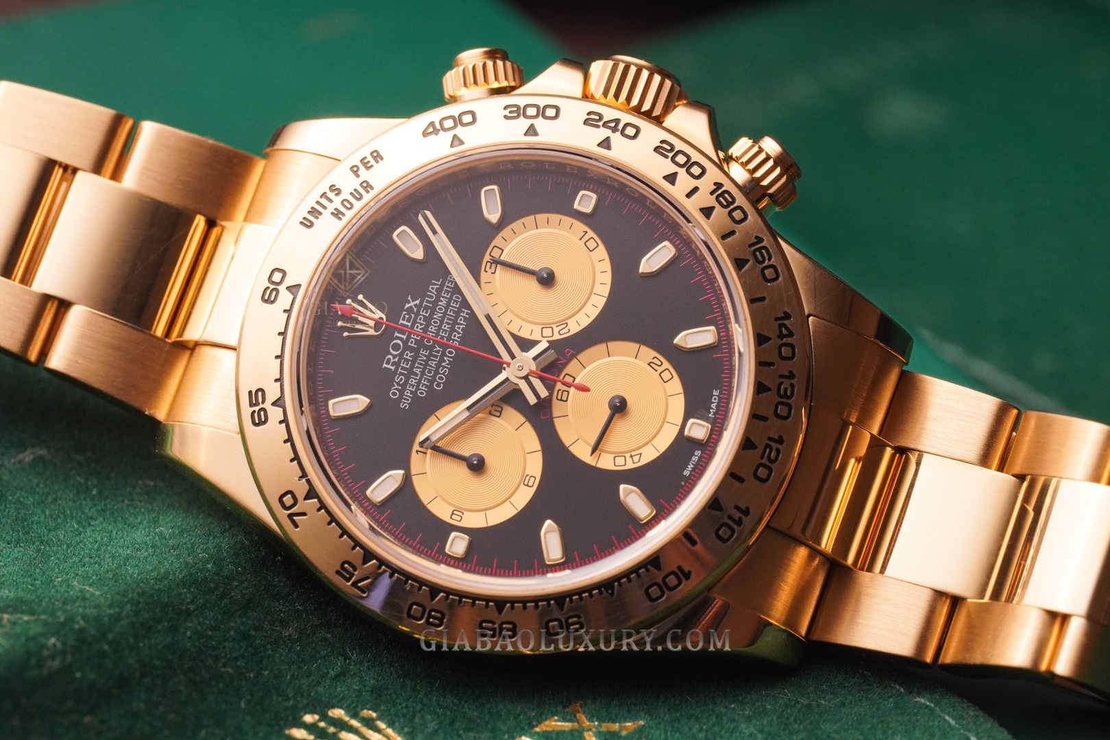 Đồng Hồ Rolex Cosmograph Daytona 116508 Mặt Số Đen Vàng Champagne