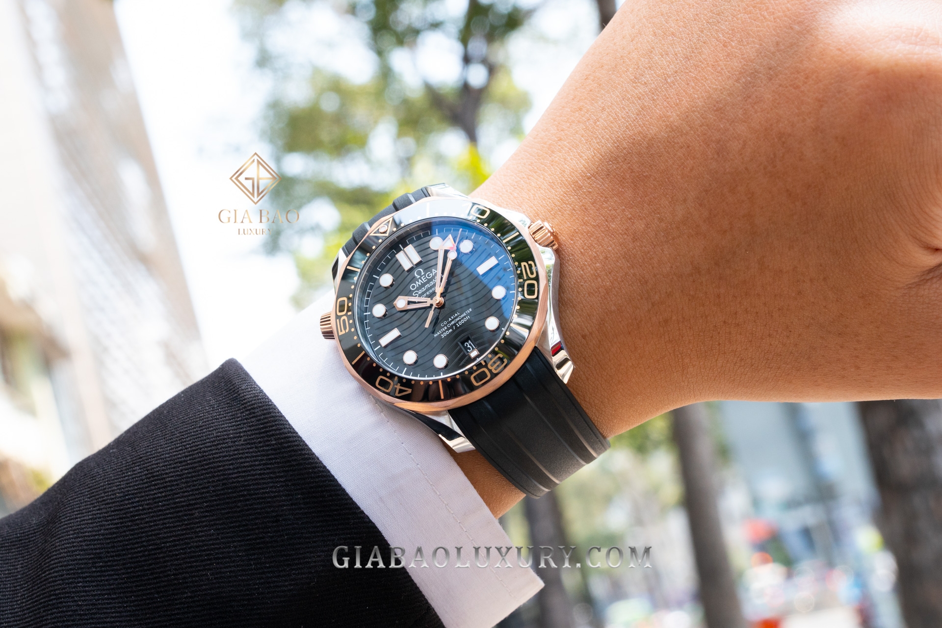 đồng hồ Omega Seamaster Diver 300M Co-Axial Master Chronometer mang mã Ref: 210.22.42.20.01.002