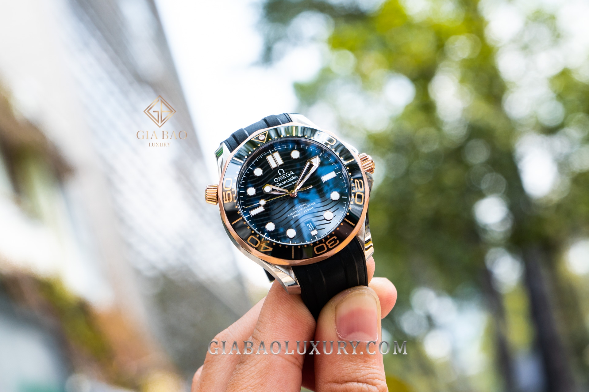 đồng hồ Omega Seamaster Diver 300M Co-Axial Master Chronometer mang mã Ref: 210.22.42.20.01.002