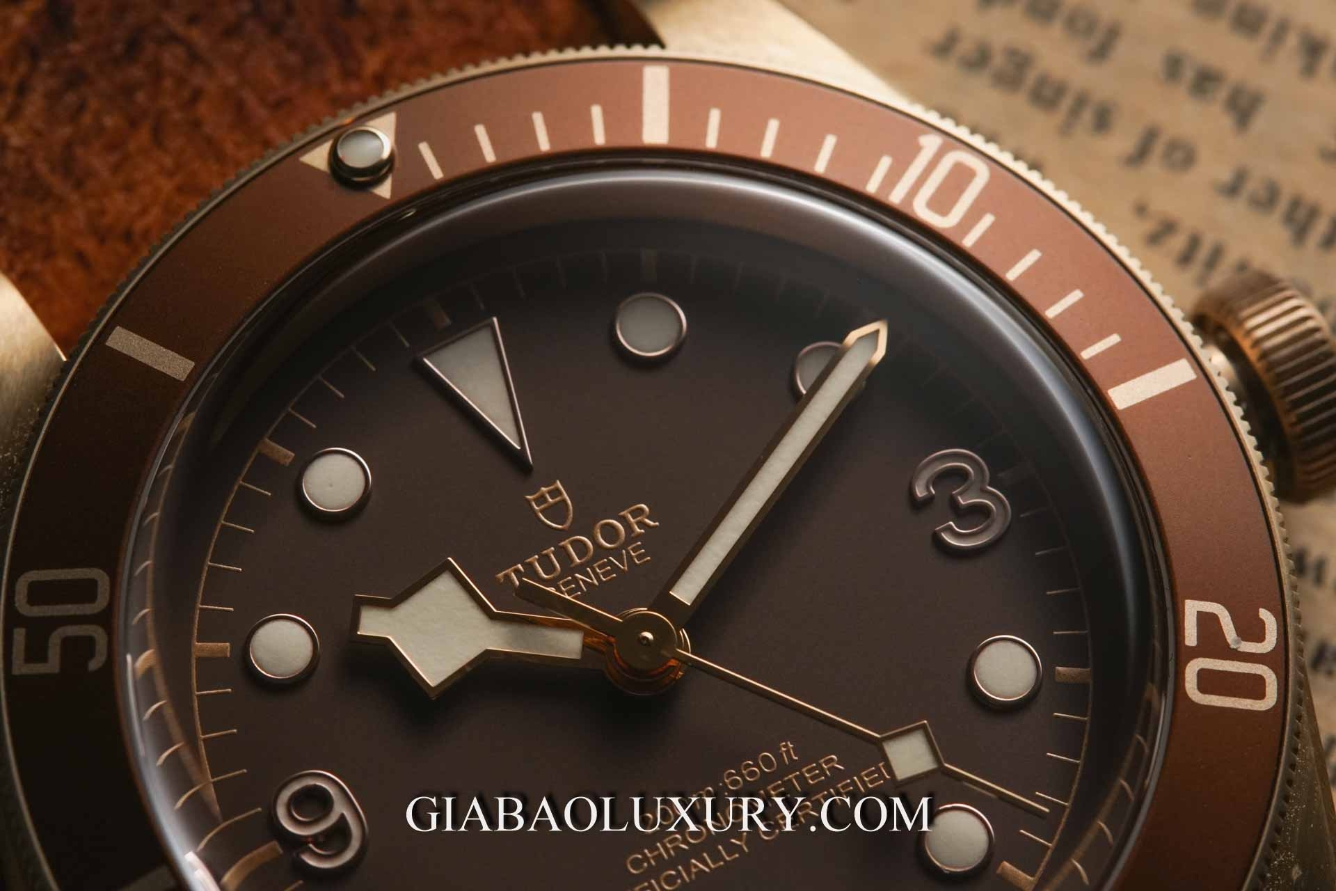 Đồng hồ Tudor Heritage Black Bay 79250BM