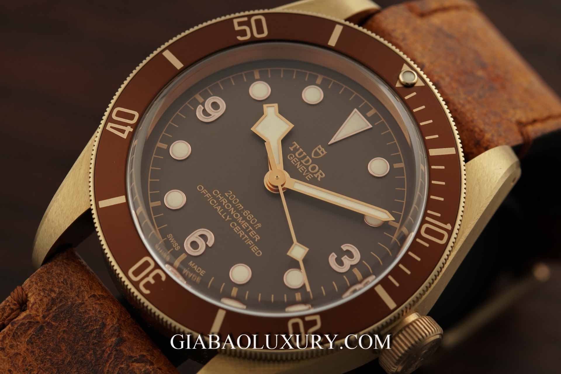 Đồng hồ Tudor Heritage Black Bay 79250BM