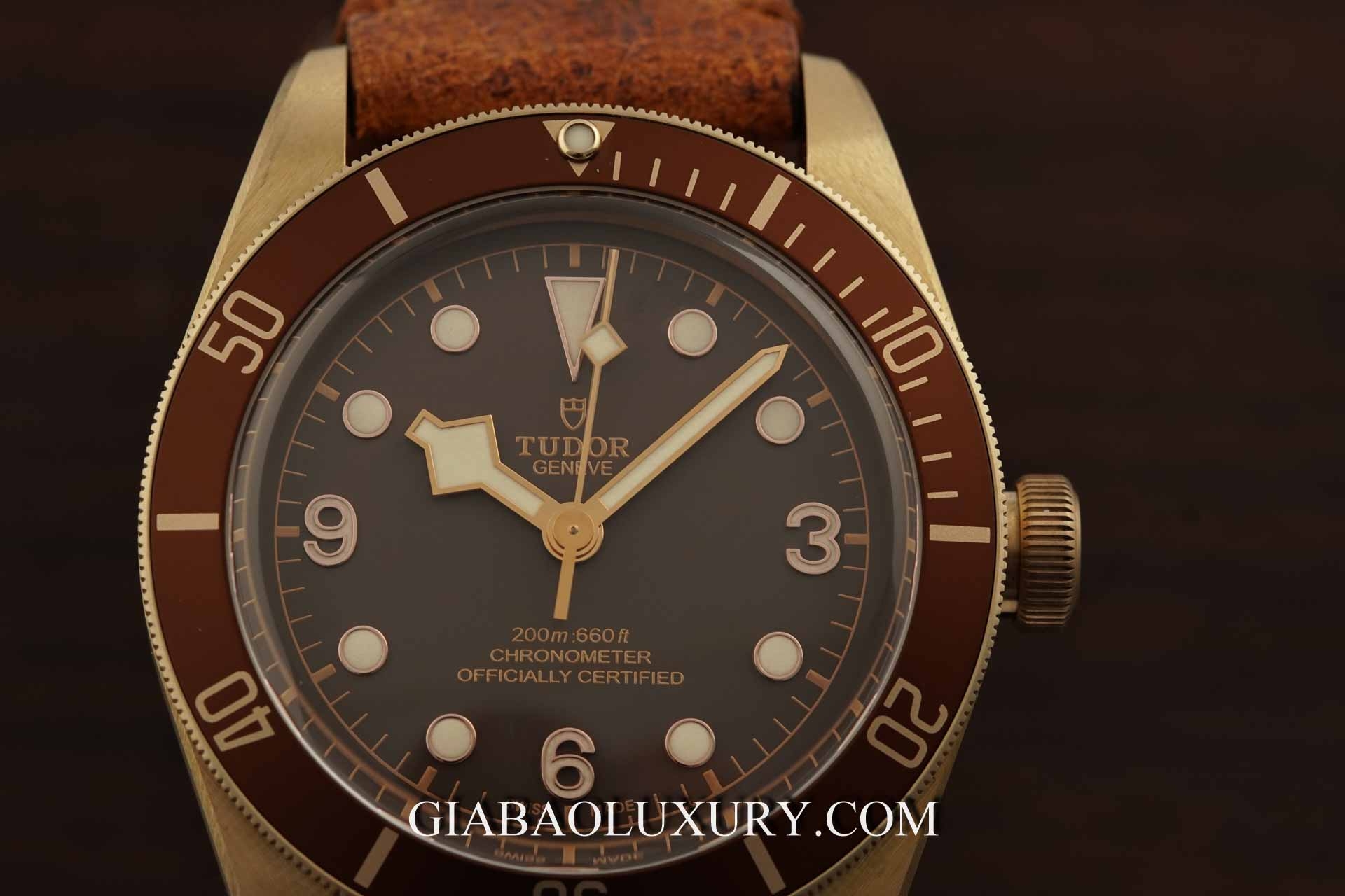 Đồng hồ Tudor Heritage Black Bay 79250BM
