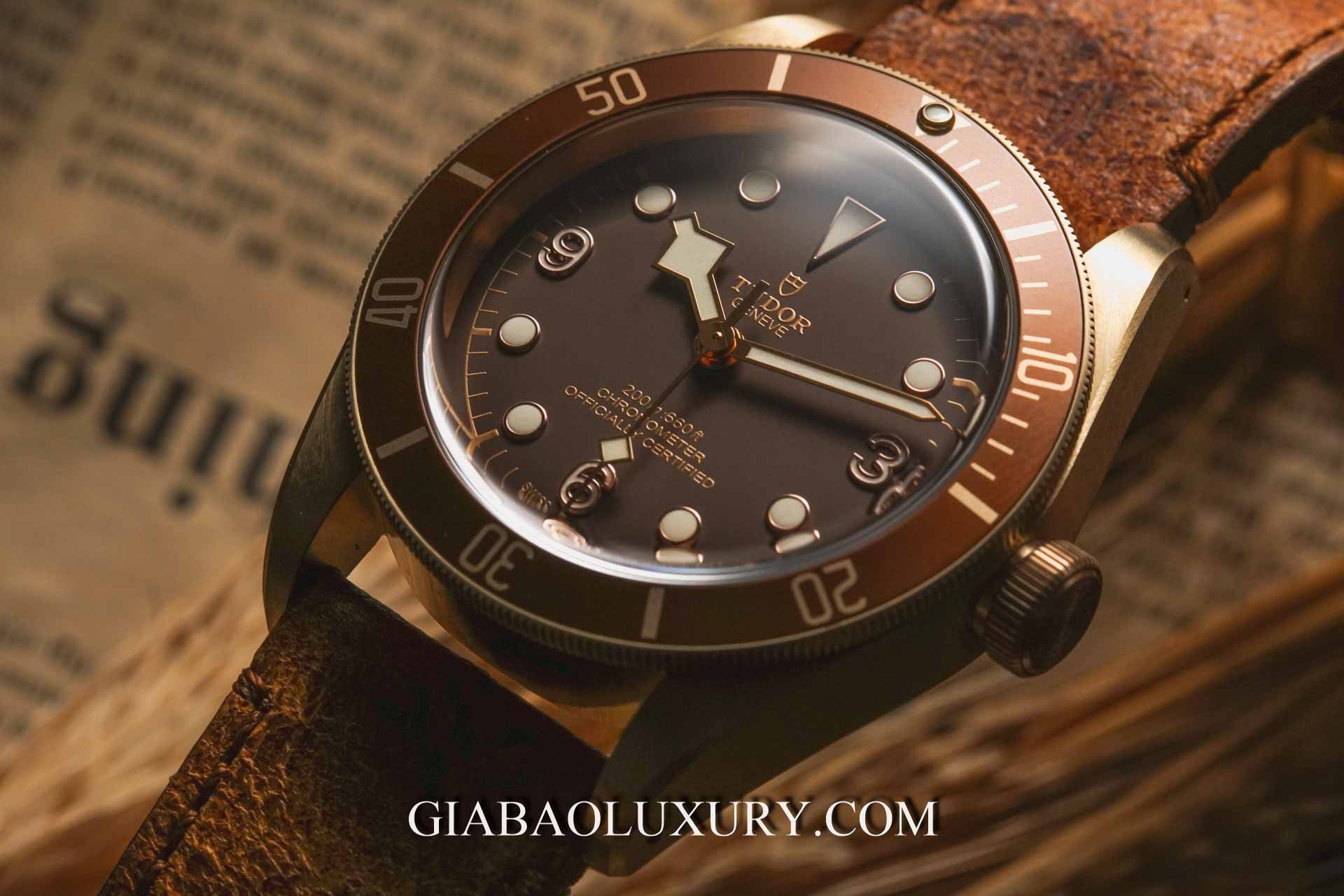 Đồng hồ Tudor Heritage Black Bay 79250BM