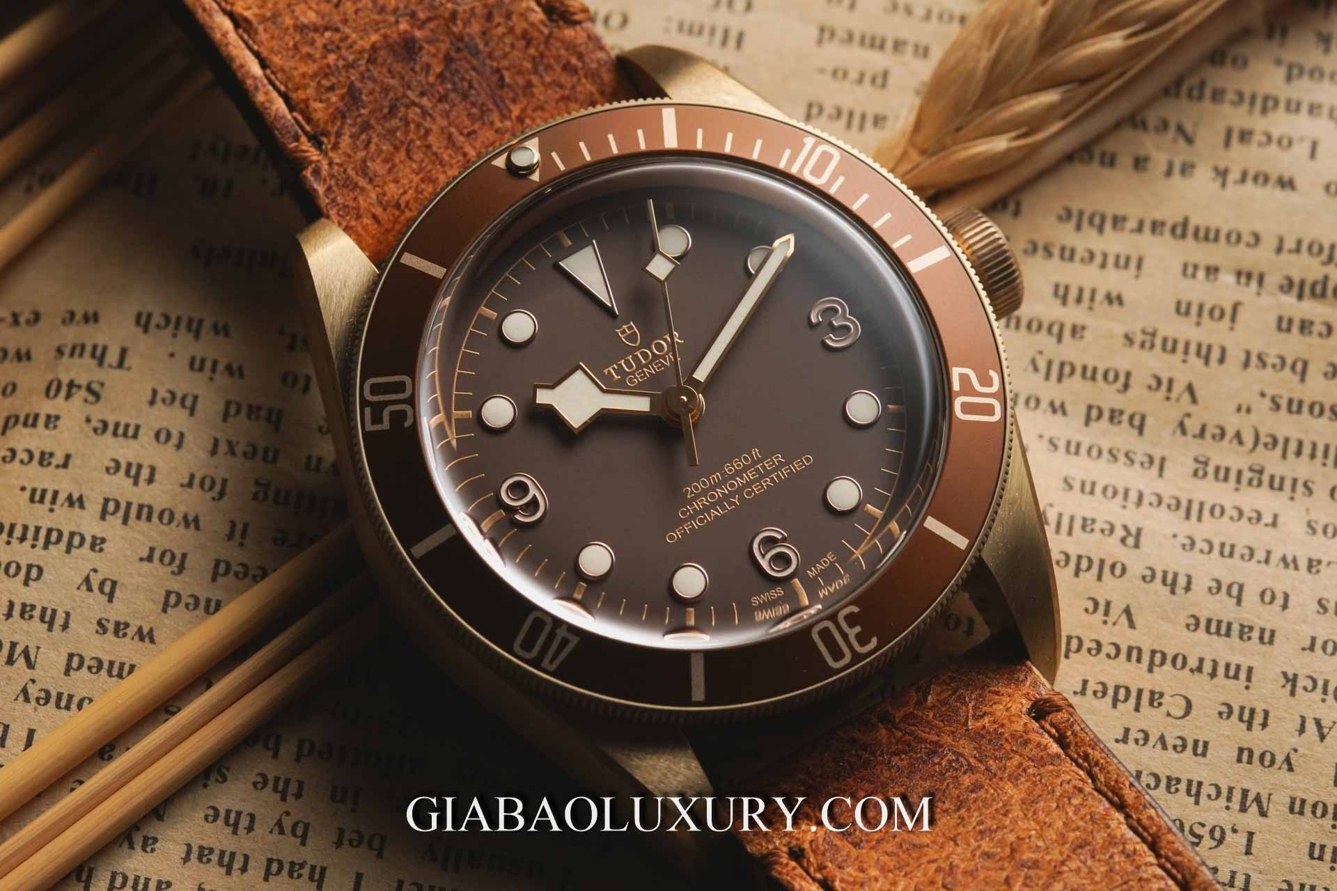 Đồng hồ Tudor Heritage Black Bay 79250BM