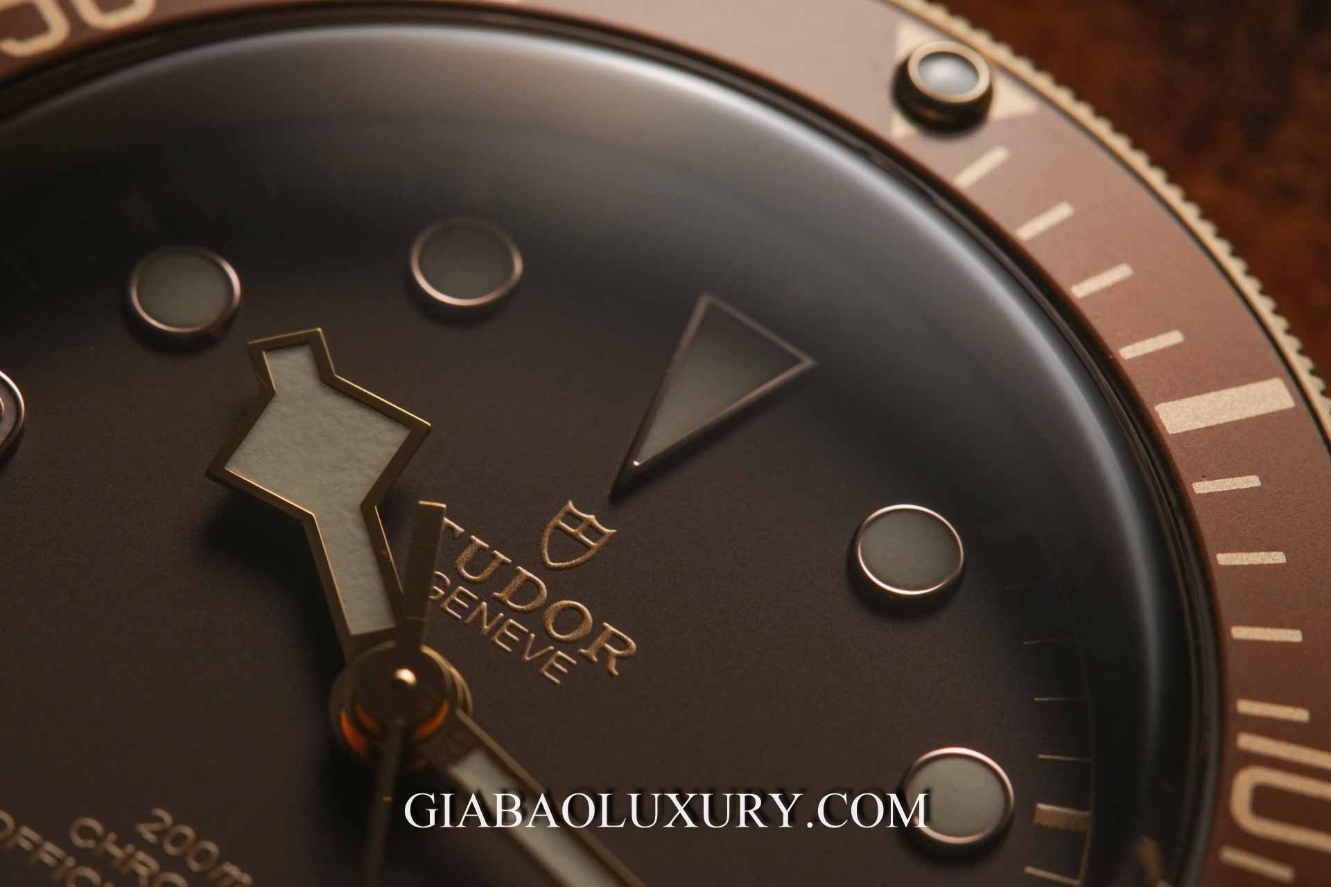 Đồng hồ Tudor Heritage Black Bay 79250BM