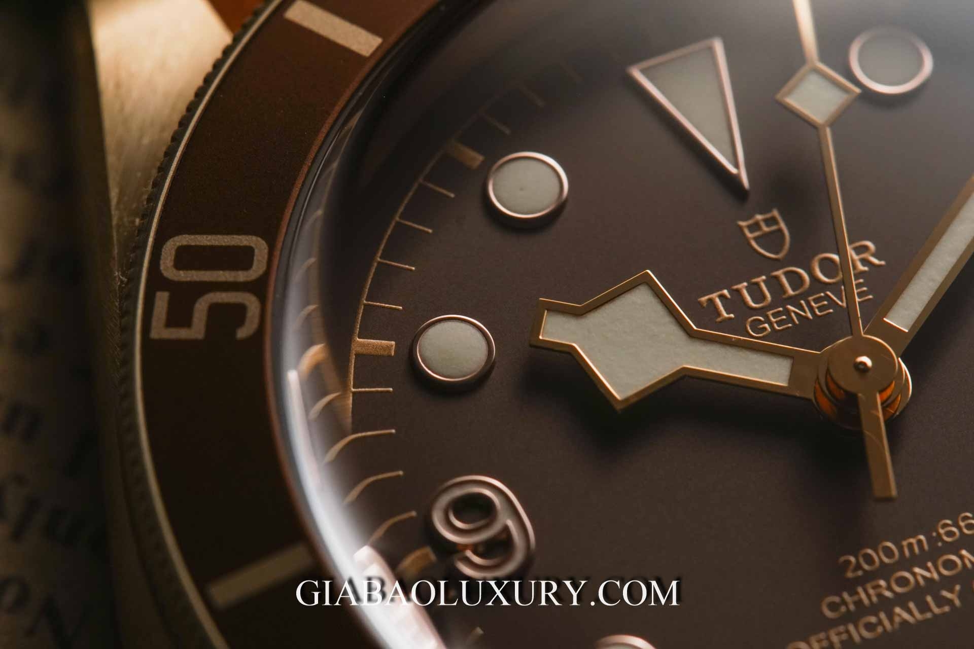 Đồng hồ Tudor Heritage Black Bay 79250BM