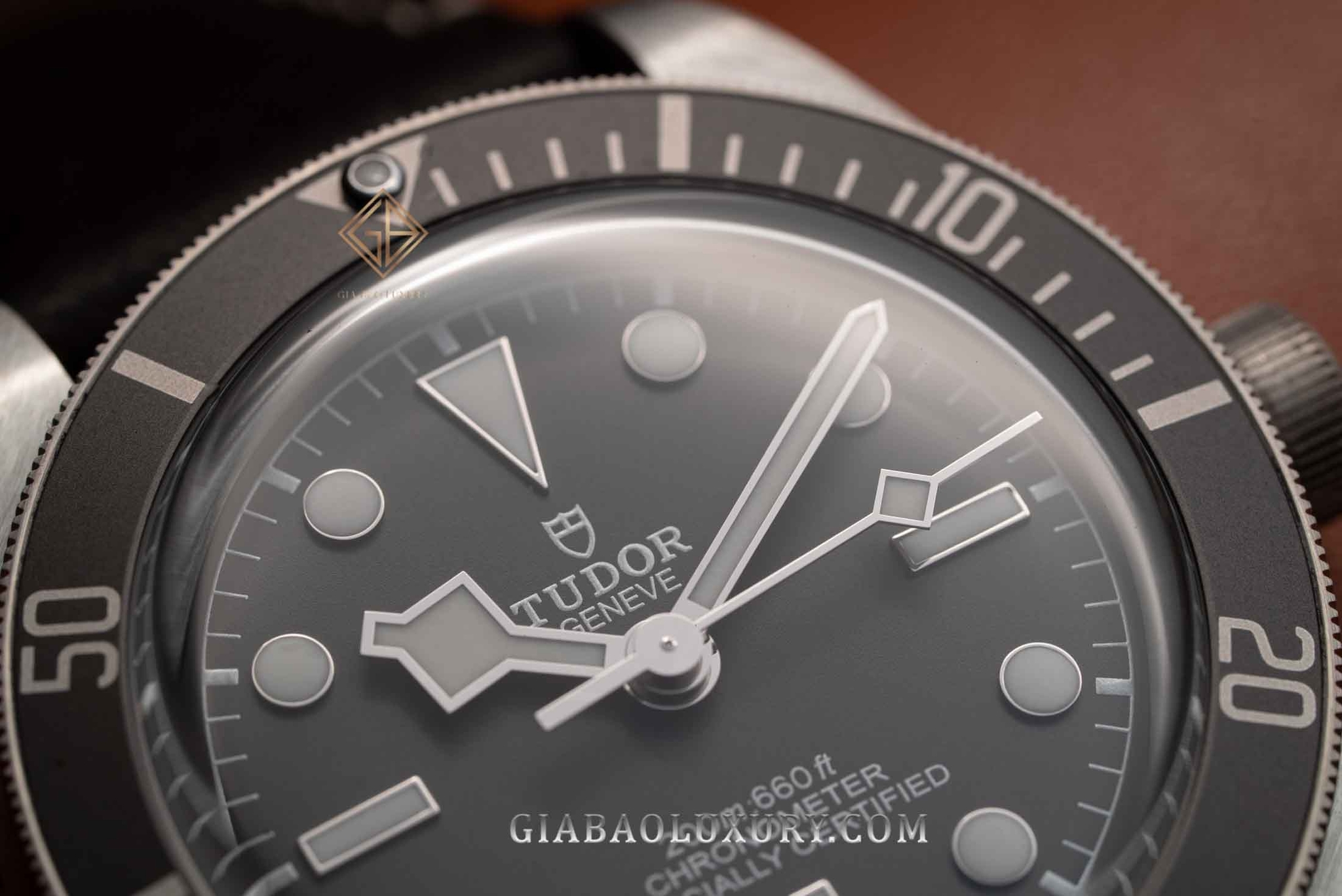 Đồng Hồ Tudor Black Bay Fifty-Eight 79010SG-0001