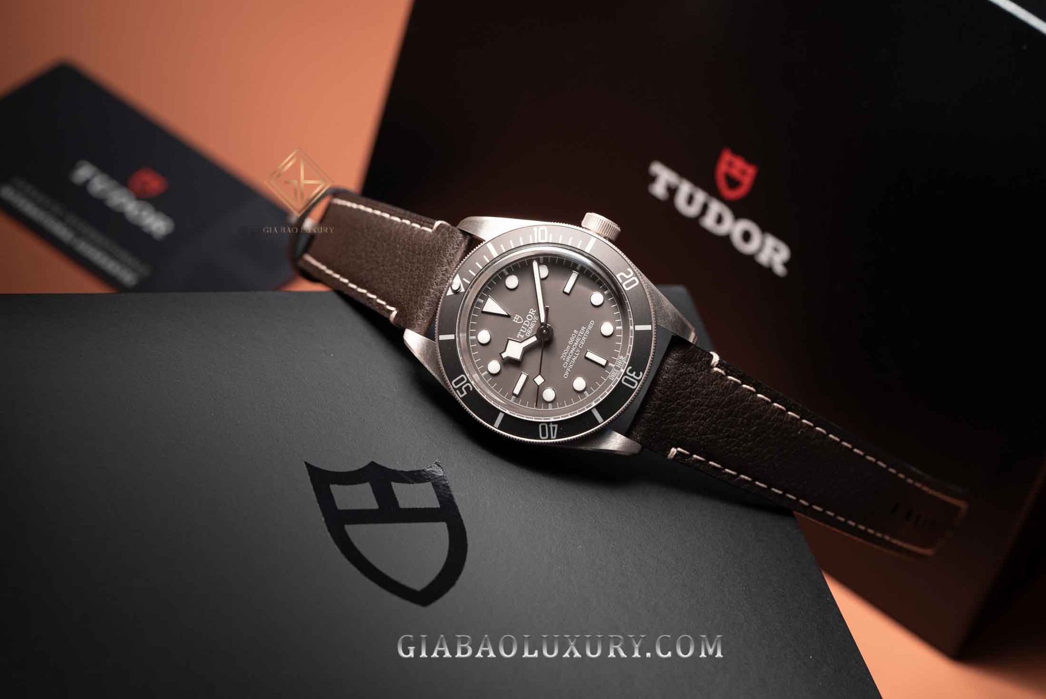 Đồng Hồ Tudor Black Bay Fifty-Eight 79010SG-0001