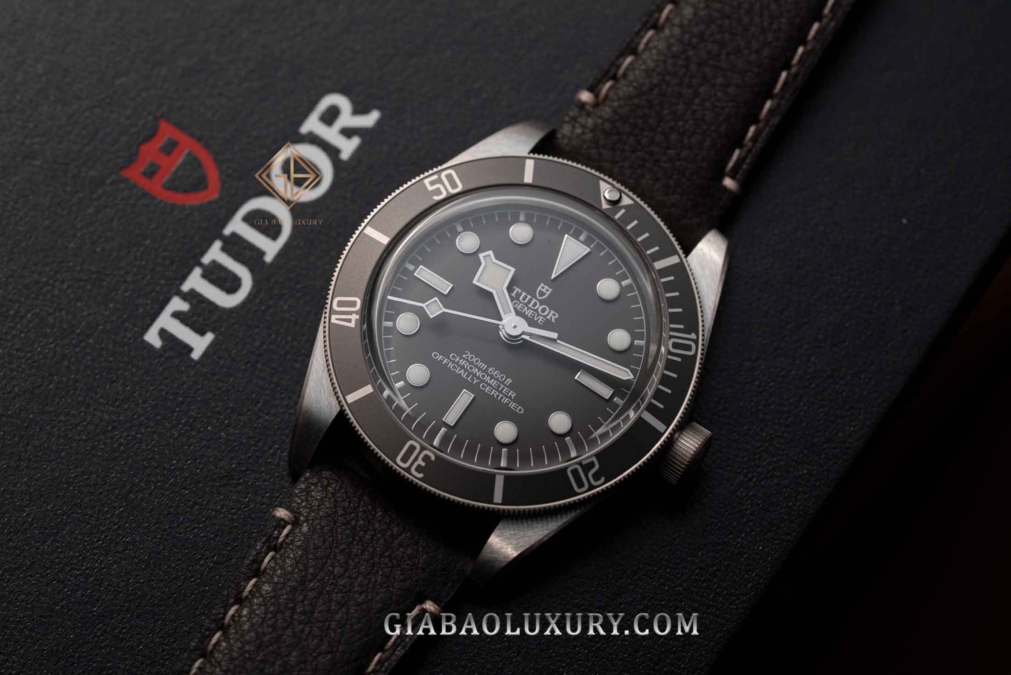 Đồng Hồ Tudor Black Bay Fifty-Eight 79010SG-0001