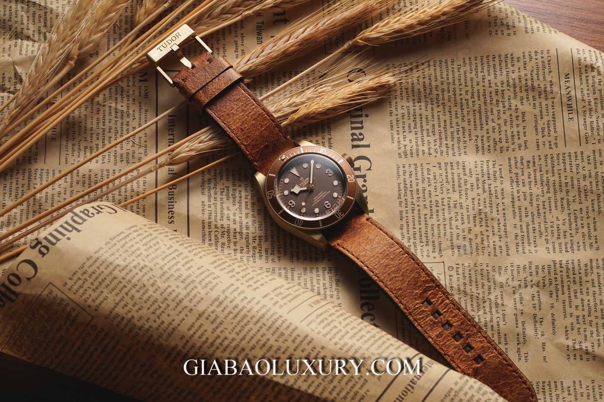 Đồng hồ Tudor Heritage Black Bay 79250BM