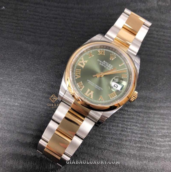 Đồng Hồ Rolex Datejust 36 126203 Mặt Số Xanh Oliu Cọc Số La Mã Dây Đeo Oyster
