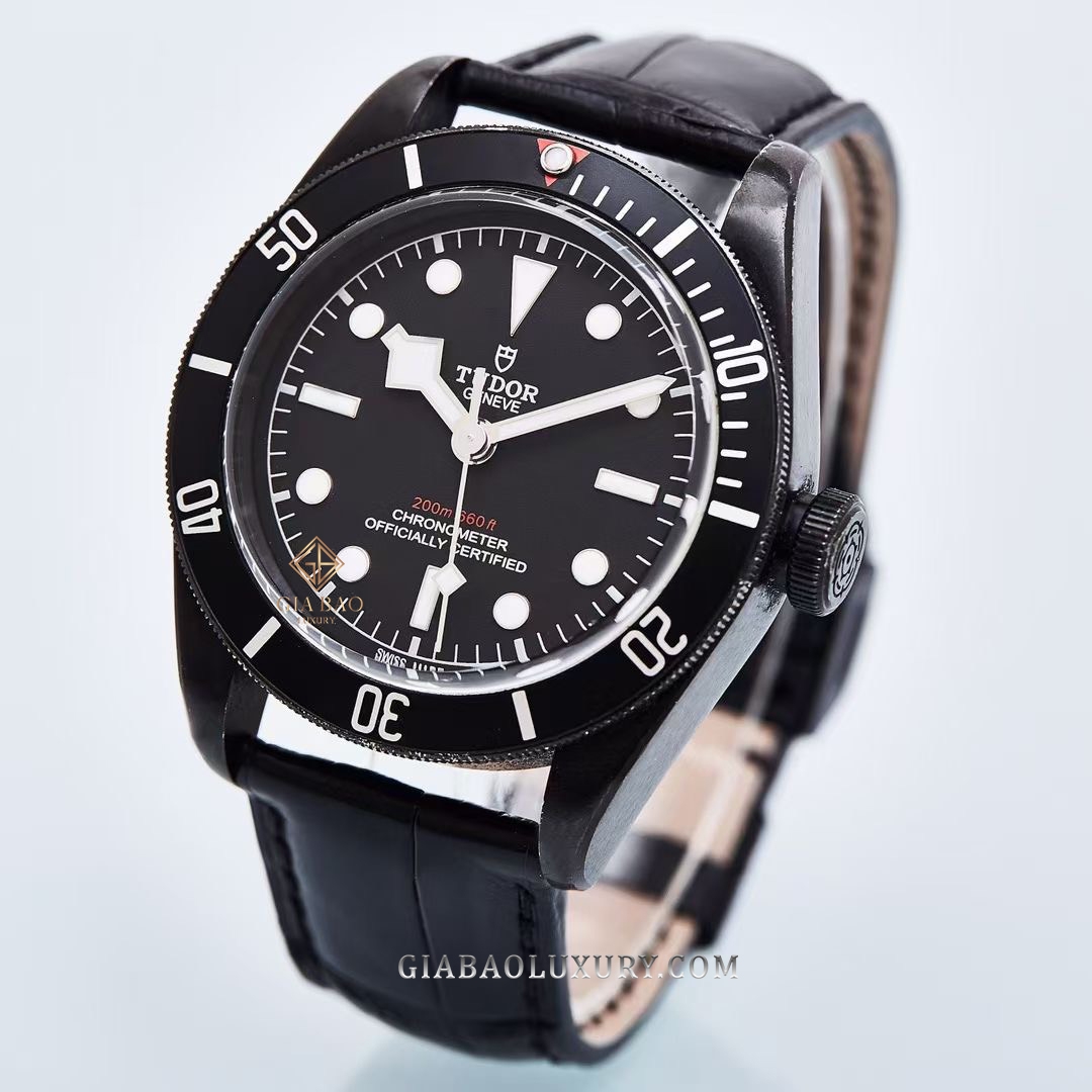Đồng Hồ Tudor Heritage Ranger 79230DK