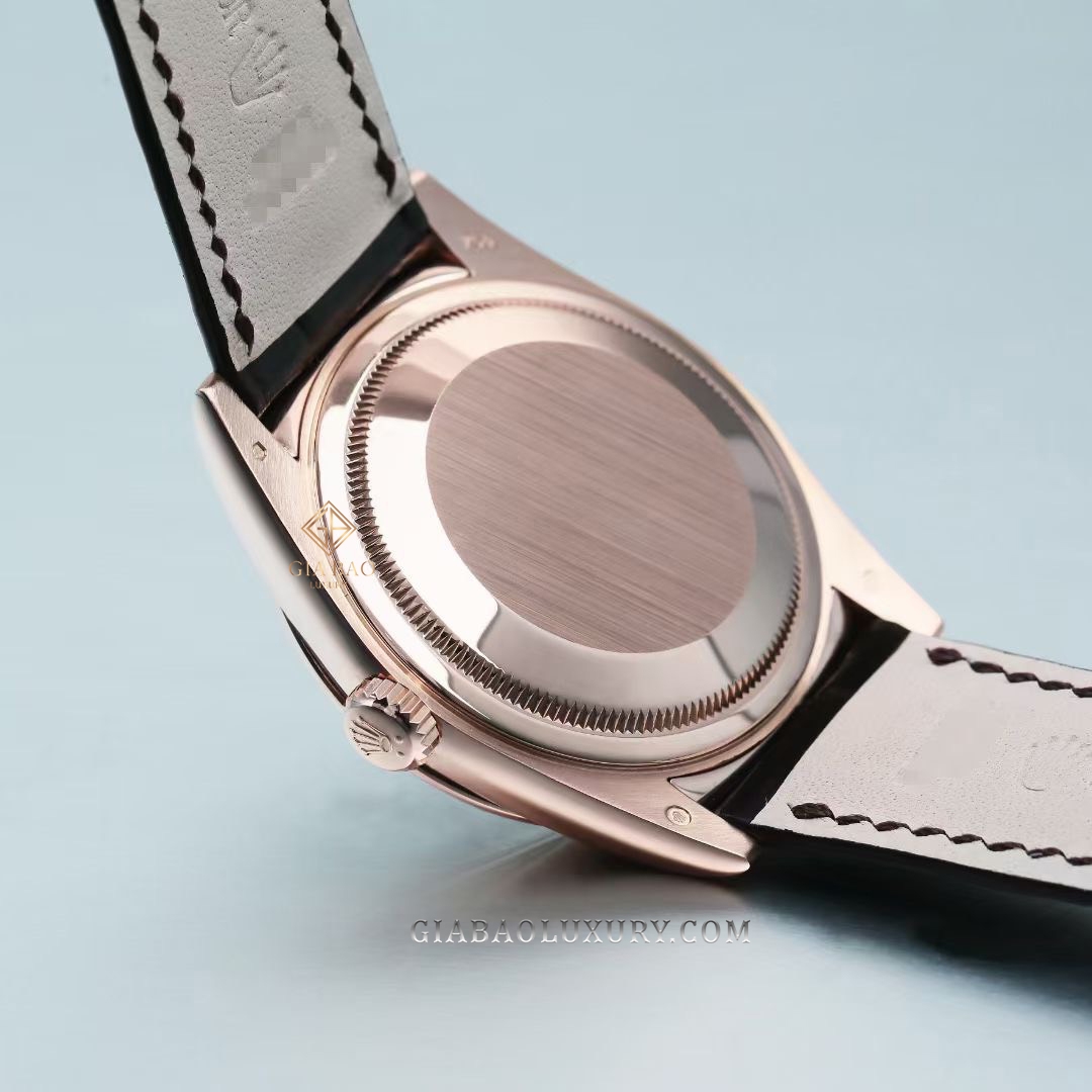 Đồng Hồ Rolex Day-Date 36 118135 Mặt Số Chocolate Nạm Kim Cương Và Hồng Ngọc