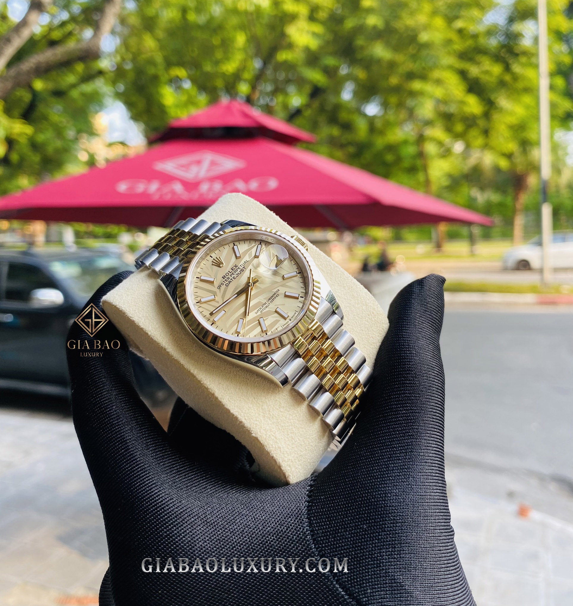 Đồng Hồ Rolex Datejust 36 126233 Mặt Số Cây Lá Nhiệt Đới Vàng Champagne Cọc Số Dạ Quang