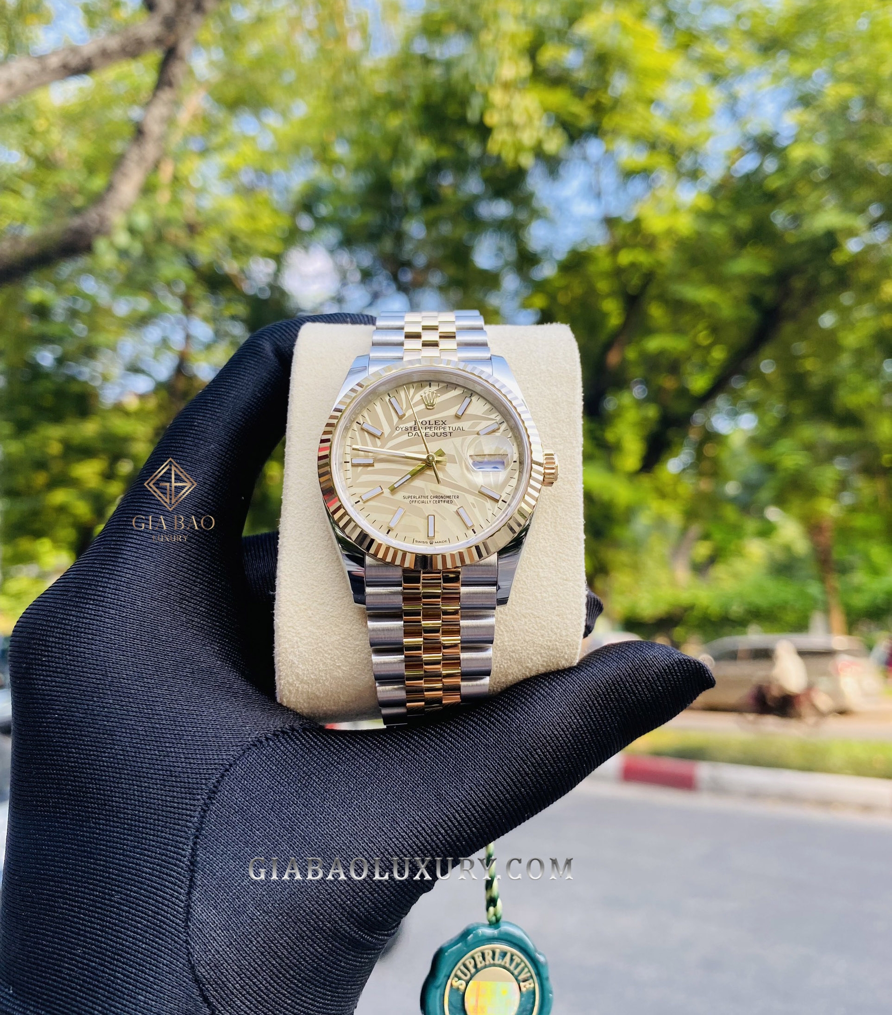Đồng Hồ Rolex Datejust 36 126233 Mặt Số Cây Lá Nhiệt Đới Vàng Champagne Cọc Số Dạ Quang