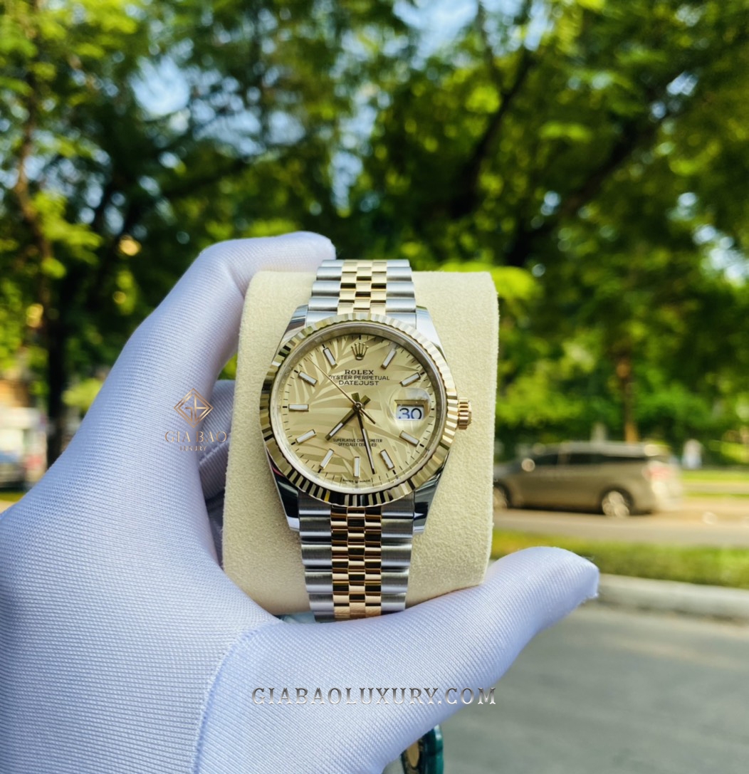 Đồng Hồ Rolex Datejust 36 126233 Mặt Số Cây Lá Nhiệt Đới Vàng Champagne Cọc Số Dạ Quang