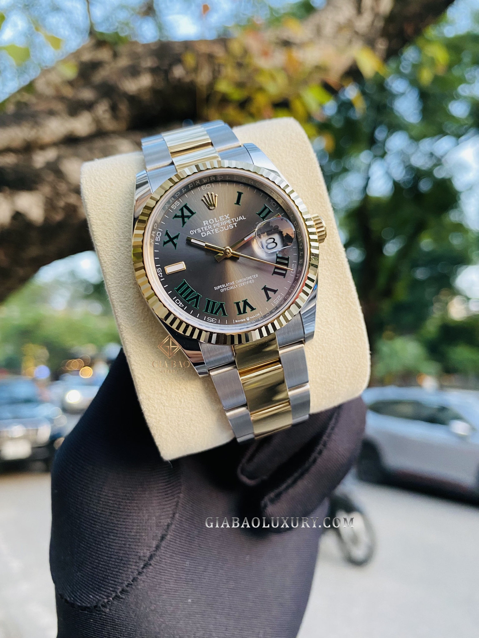 Đồng Hồ Rolex Datejust 36 126233 Mặt Số Slate Cọc Số La Mã Dây Đeo Oyster