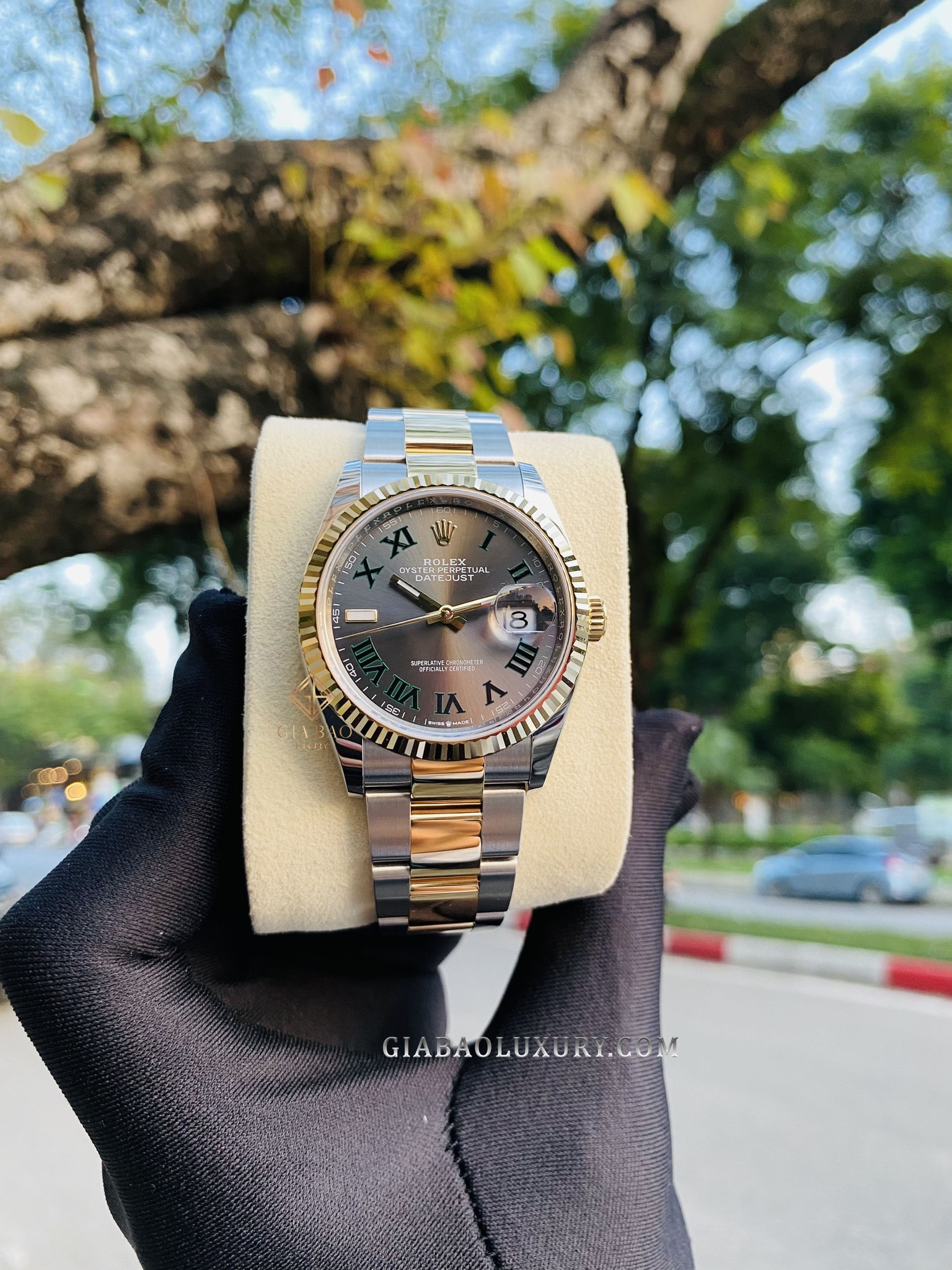 Đồng Hồ Rolex Datejust 36 126233 Mặt Số Slate Cọc Số La Mã Dây Đeo Oyster