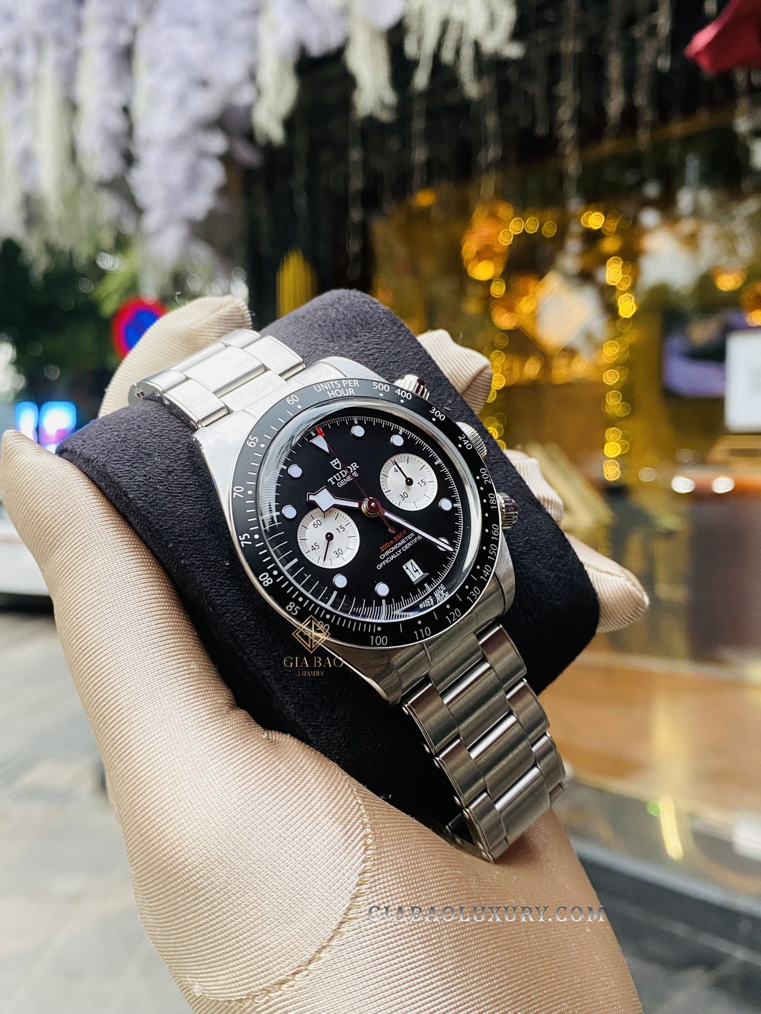 Đồng Hồ Tudor Black Bay 79360N-0001