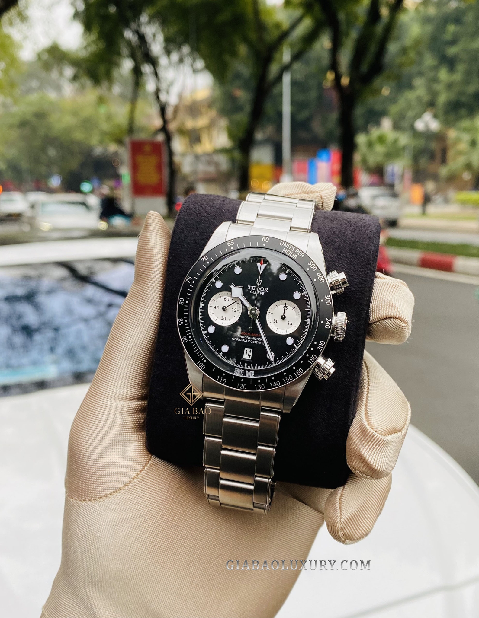 Đồng Hồ Tudor Black Bay 79360N-0001