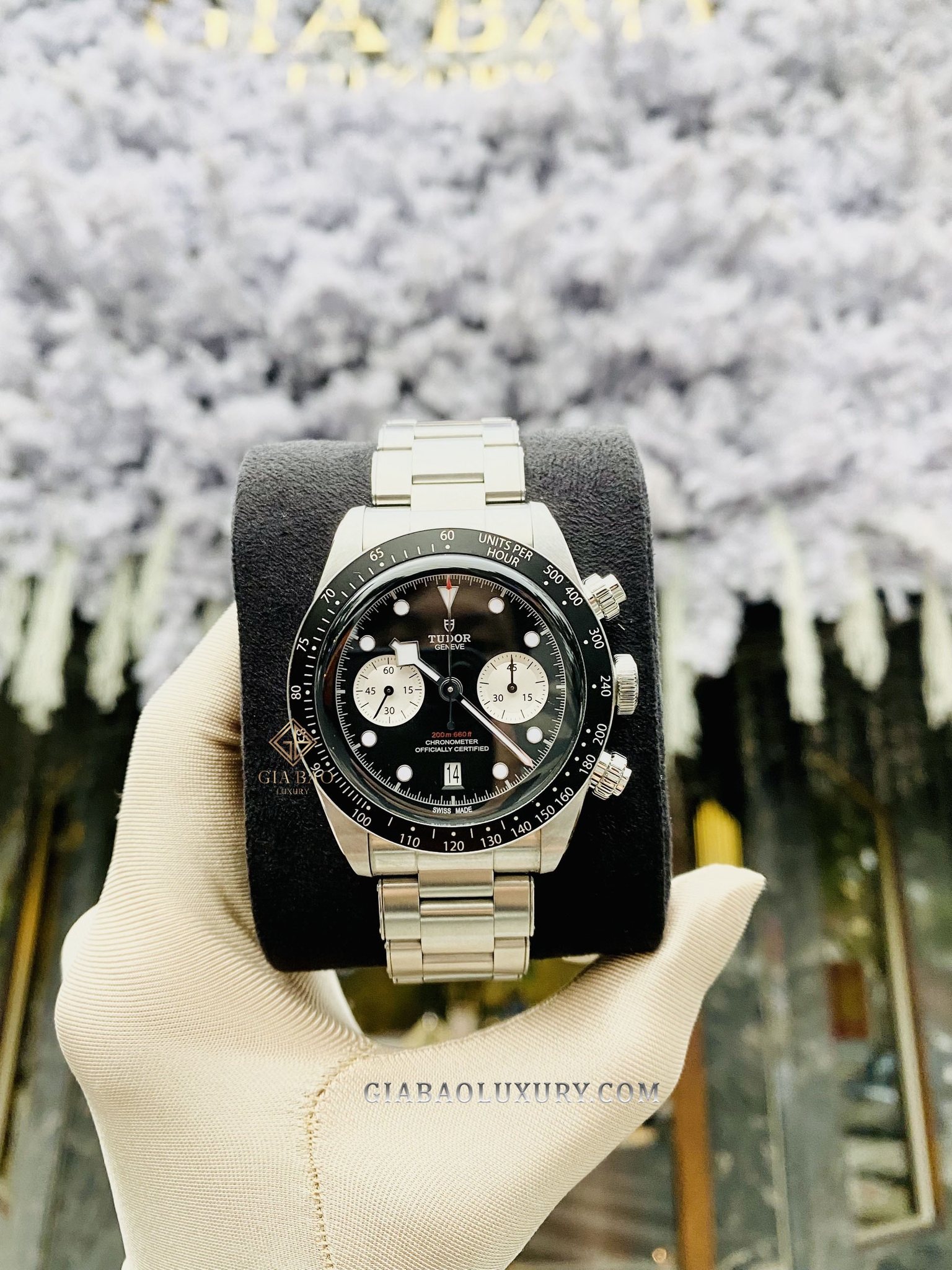 Đồng Hồ Tudor Black Bay 79360N-0001