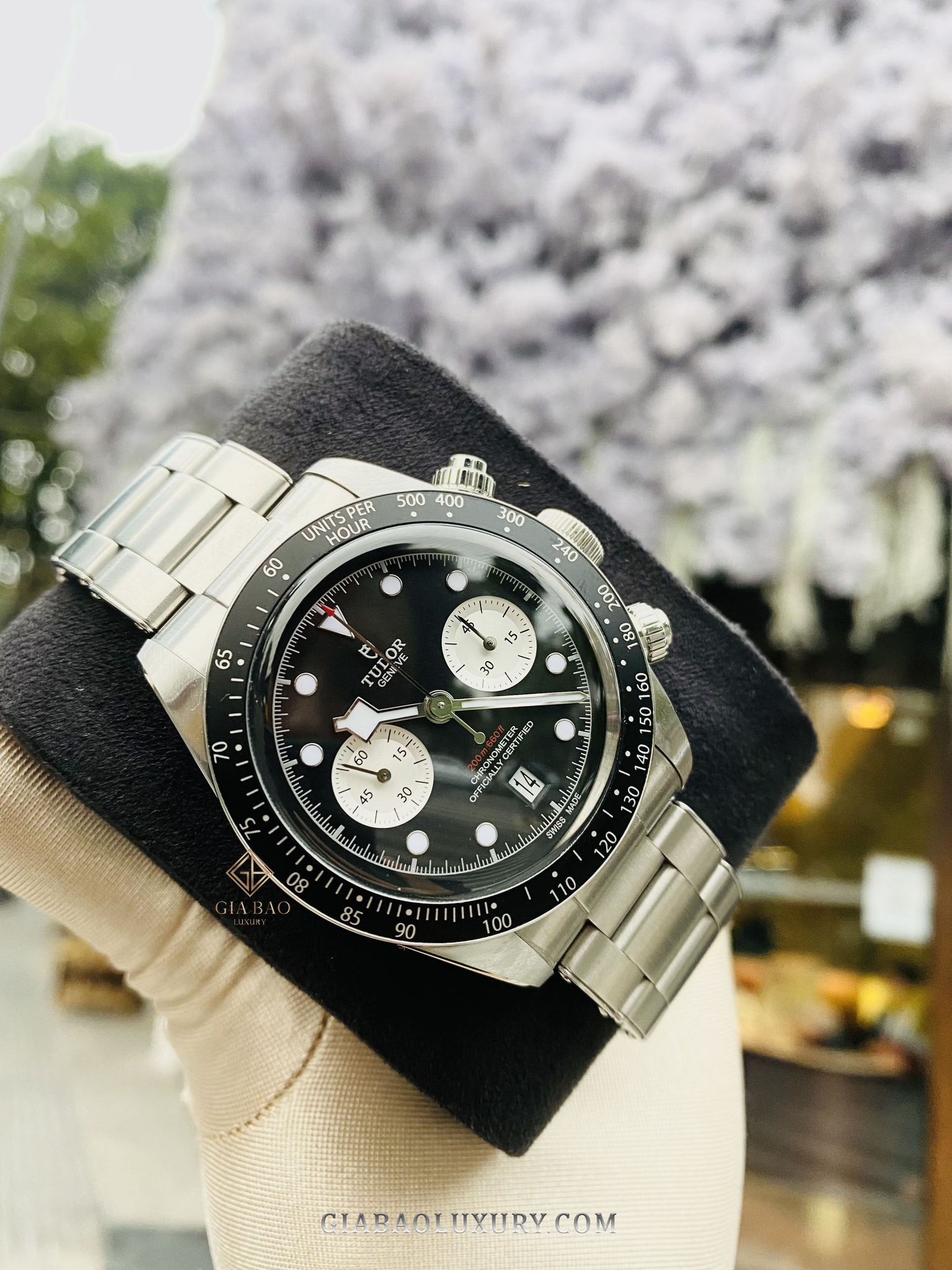 Đồng Hồ Tudor Black Bay 79360N-0001