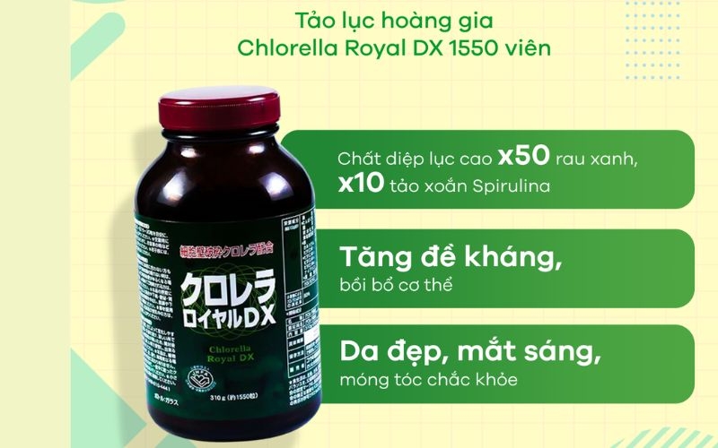 Tảo lục Chlorella Royal DX