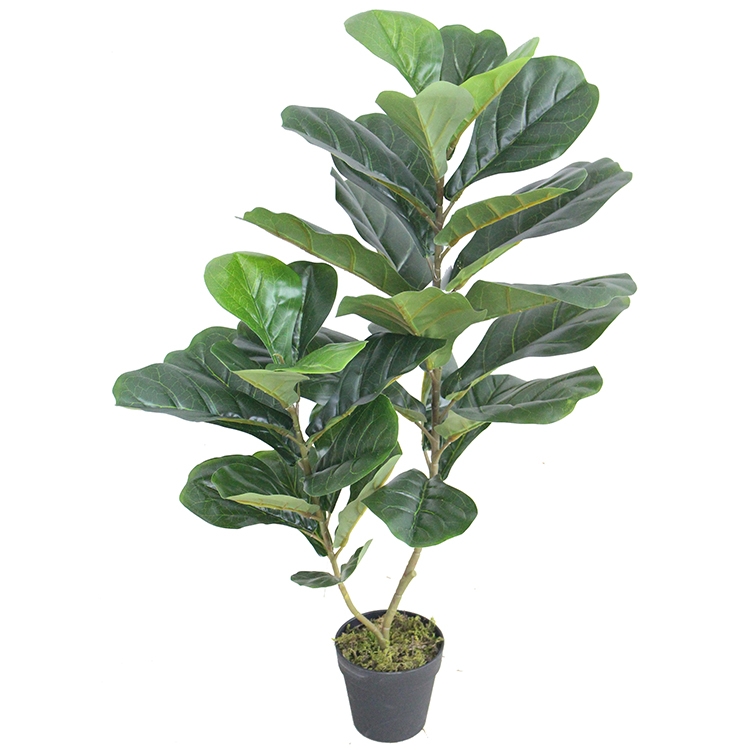cây bàng nhựa giá rẻ