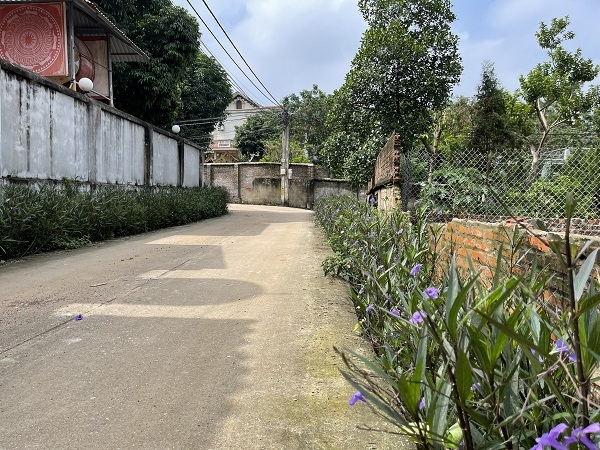 đất nền ba vì