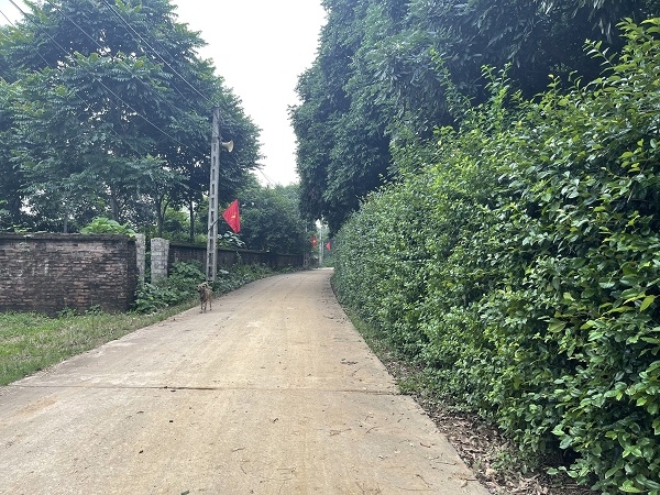 đất nghỉ dưỡng ba vì