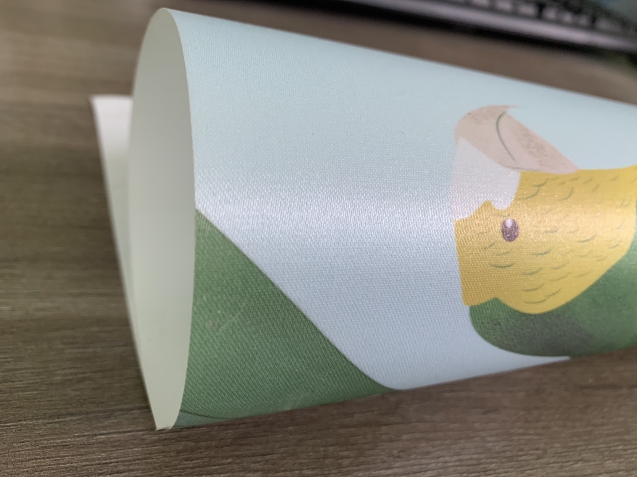CHẤT LIỆU VẢI LỤA BÓNG (SHINE SILK FABRIC)