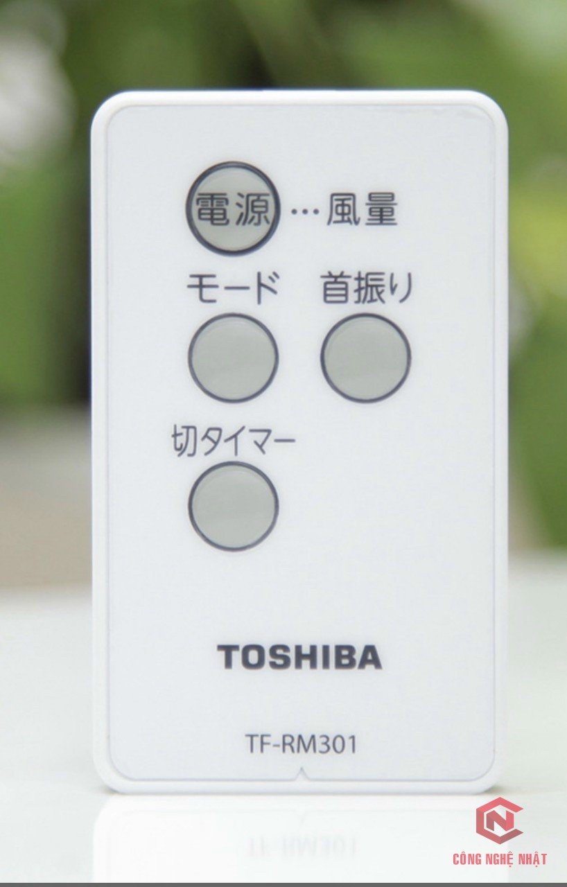 TOSHIBA TF-30RK24
