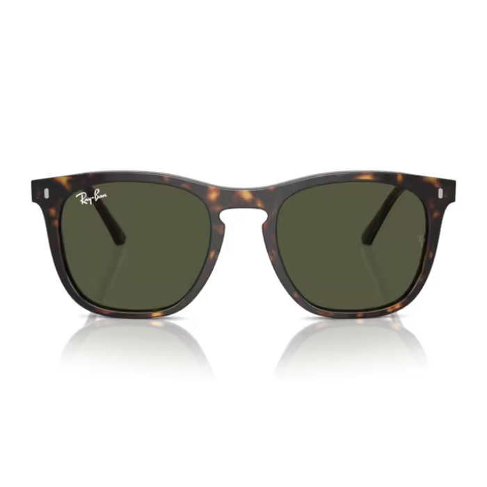 KÍNH MÁT RAYBAN RB2210F